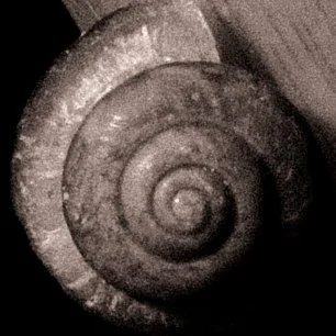 0U1A8473.jpg