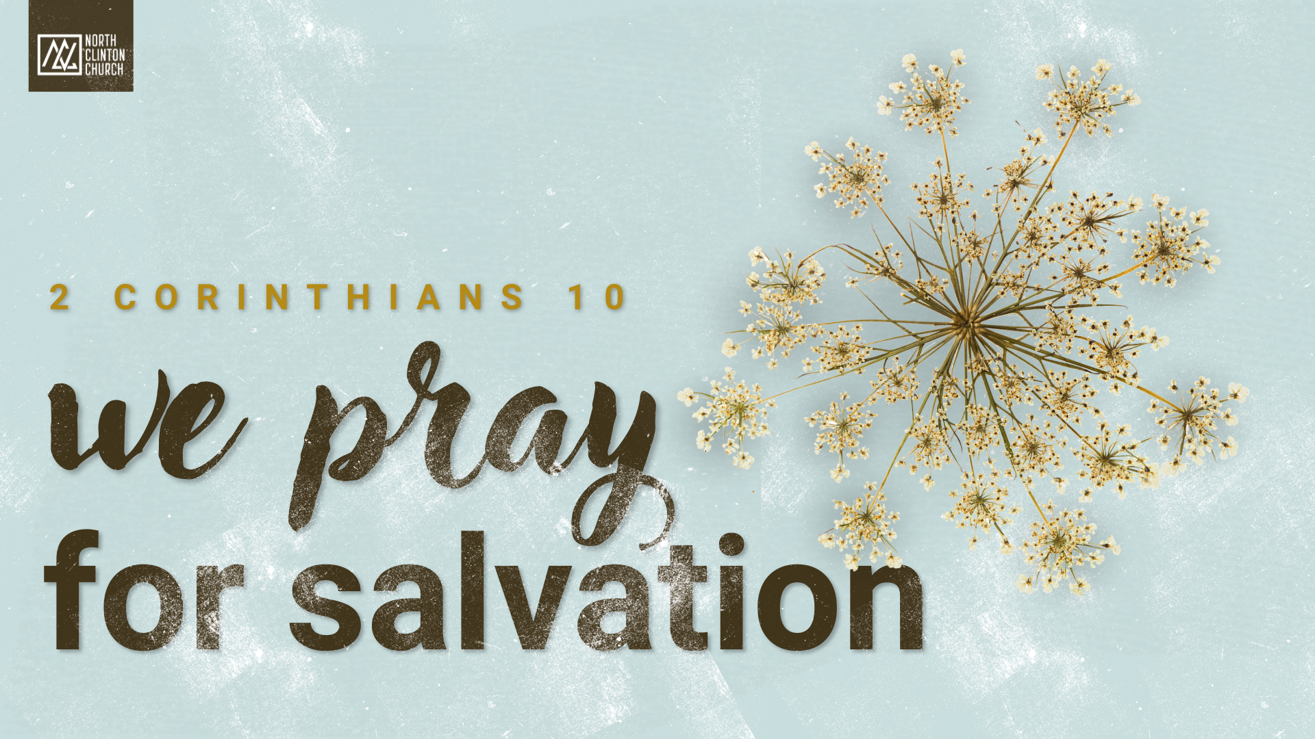 Stop Fighting Alone: Why Prayer is Your Most Powerful Weapon for Winning Souls