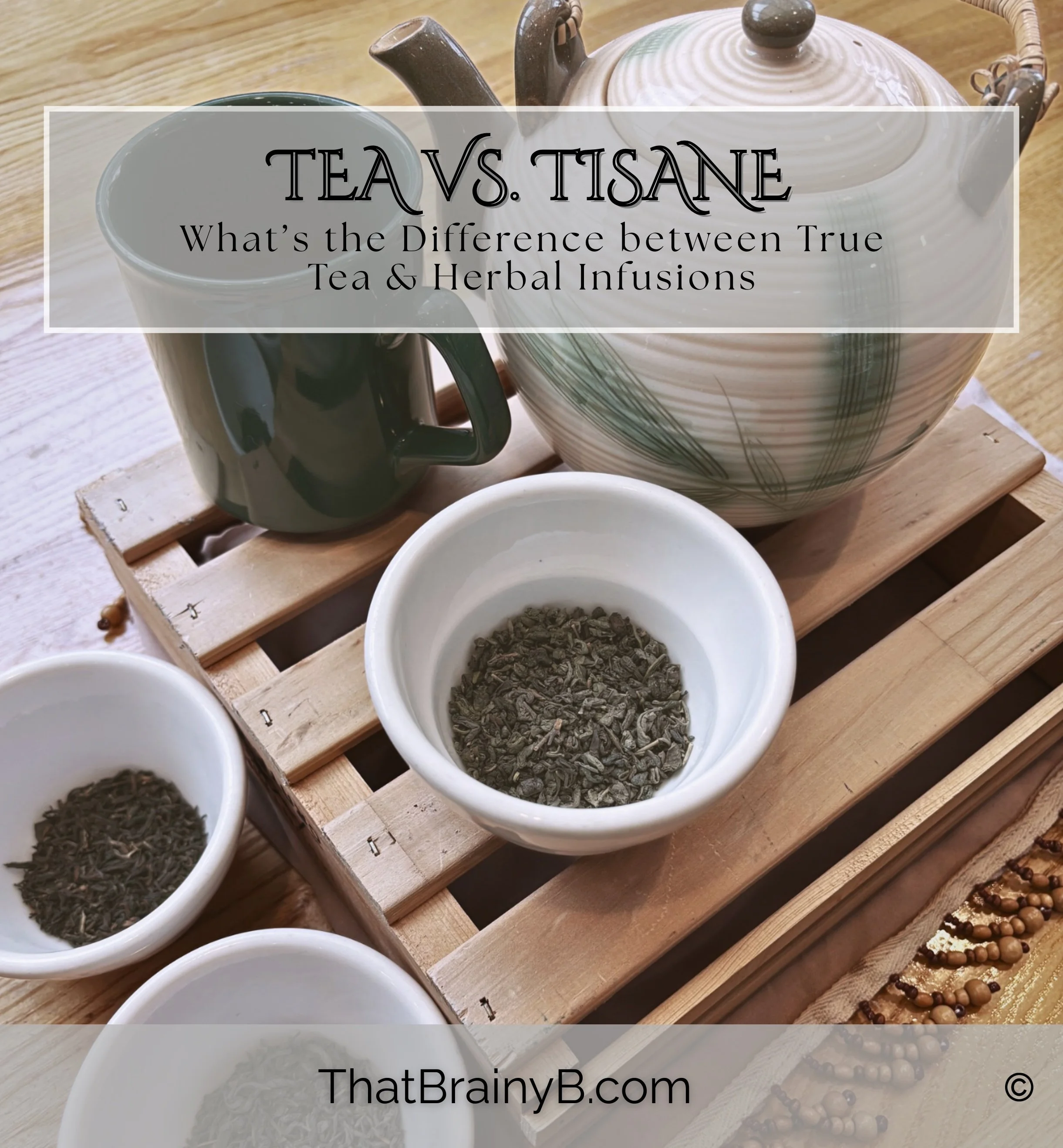Tea vs. Tisane | What’s the Difference Between True Tea and Herbal Infusions