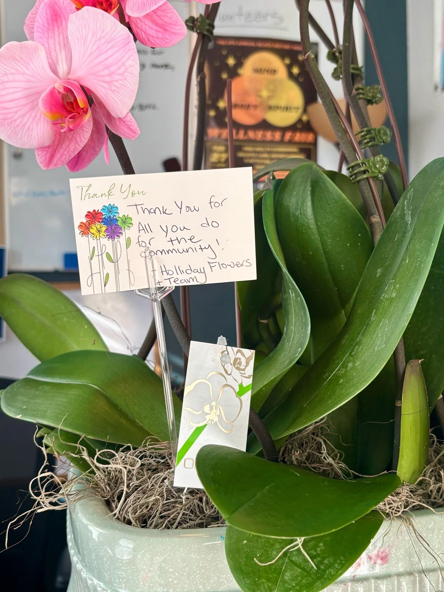 We love a colorful surprise gift from the community! Thank you @hollidayflowers for the beautiful orchids to brighten up our Community Center with!