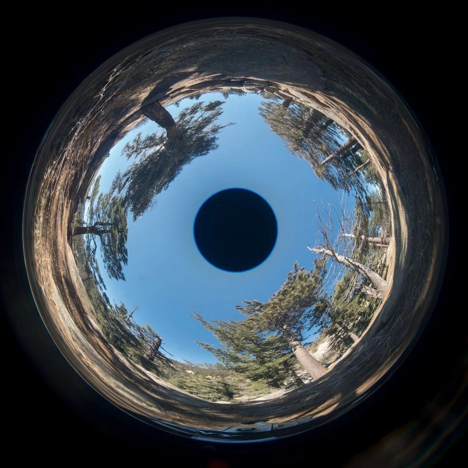 ram-industrial-design-(sphere)-BigBear_Native_sphere_b.jpg