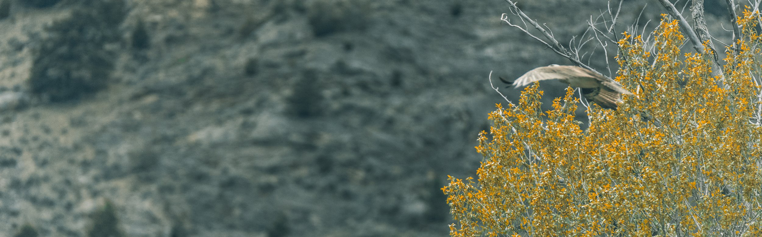 Forrest Fenns-29.jpeg