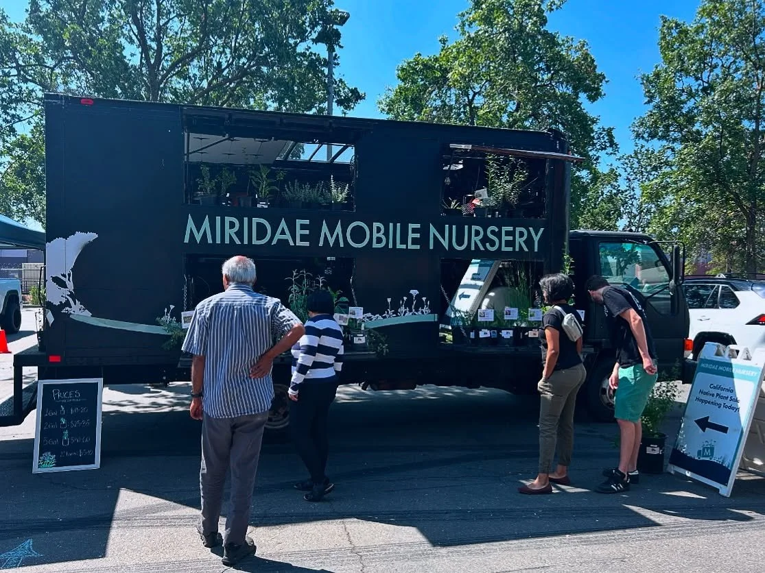 Miridae Mobile Nursery events and activities this weekend ☀️ Grab some native seed packets and make your own seed bombs, or get creative decorating a pot for container-friendly native plants. 
 
@oakpark.farmersmarket this Saturday 7/26, 9am-1pm

@me