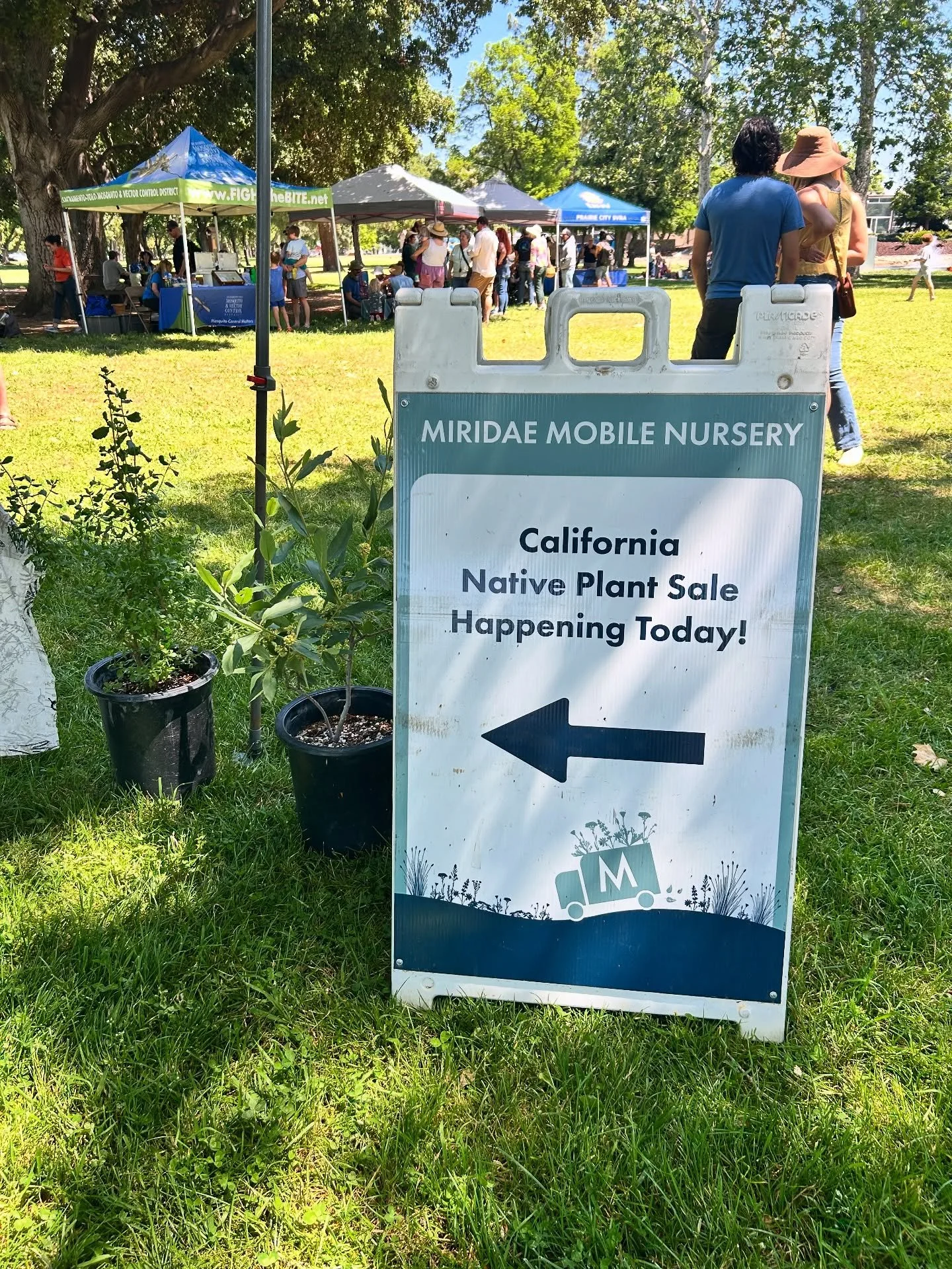 There are two more Mobile Nursery plant sale events this weekend, @oakpark.farmersmarket on Saturday and @meadowviewfarmersmarket on Sunday. All plants will be 25-50% off to help lighten the nursery load for summer! 
While there won&rsquo;t be plant 