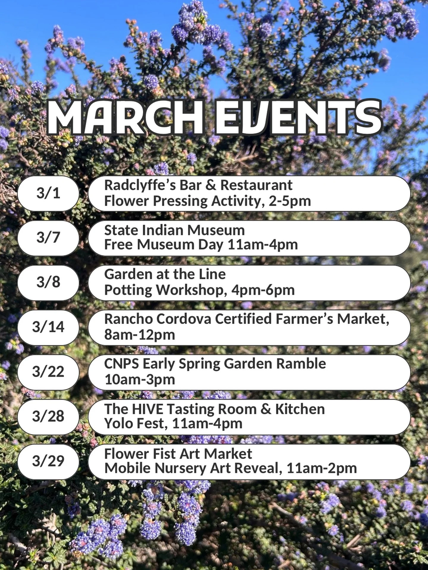 March Miridae Mobile Nursery Events! Check the bio for more details 🚛🍃
 
 
 
#miridaemobilenursery #californianativeplants #pollinatorfriendly #nativeplantnursery #californianativeplantgarden