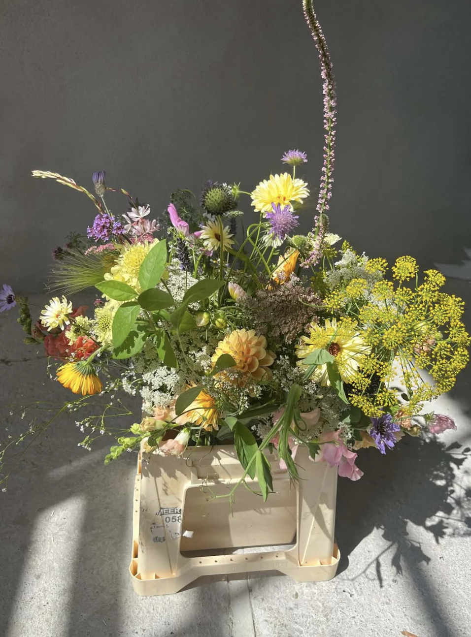 UDSOLGT: Vin &amp; vilde blomster i fakir (GRØFT x La Vinya)