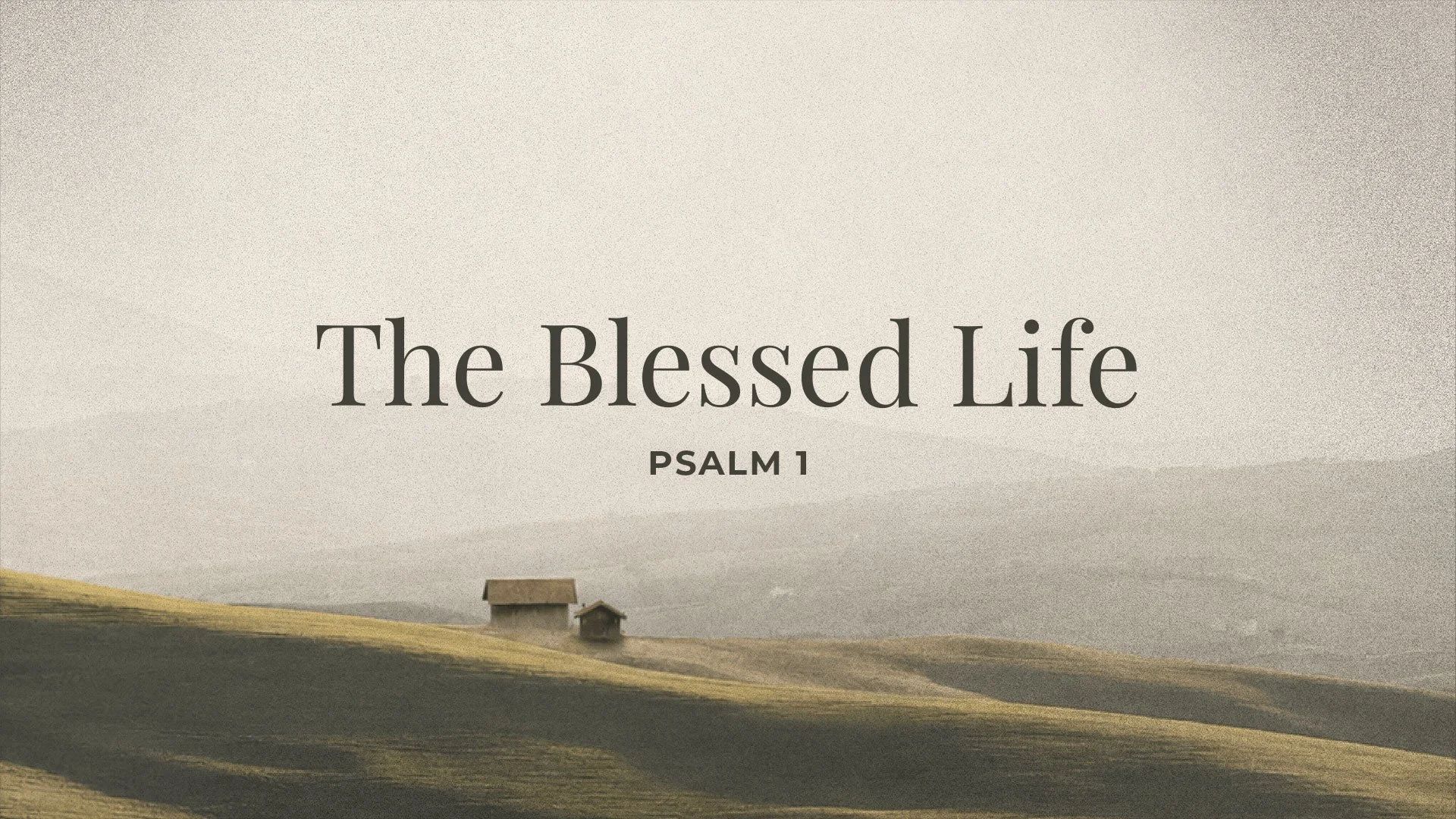 The Blessed Life
