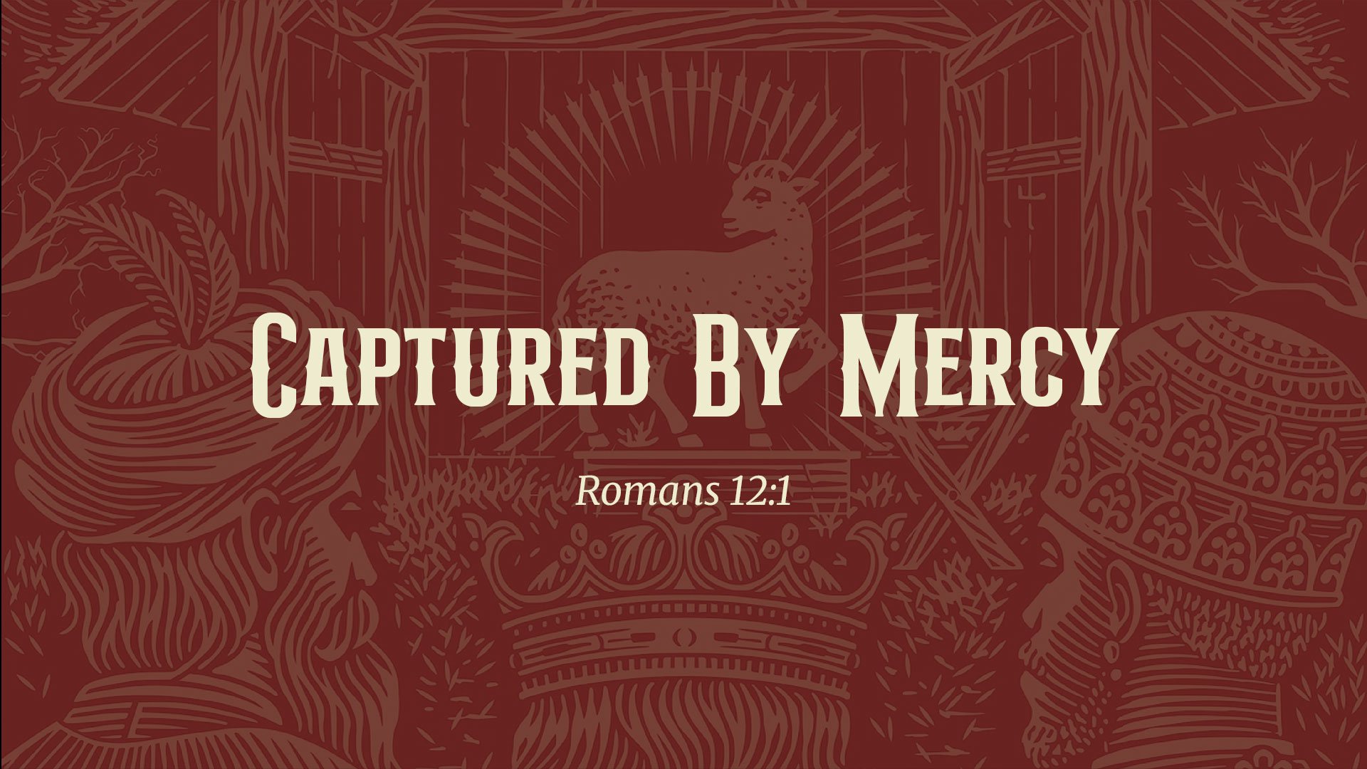 Captured By Mercy