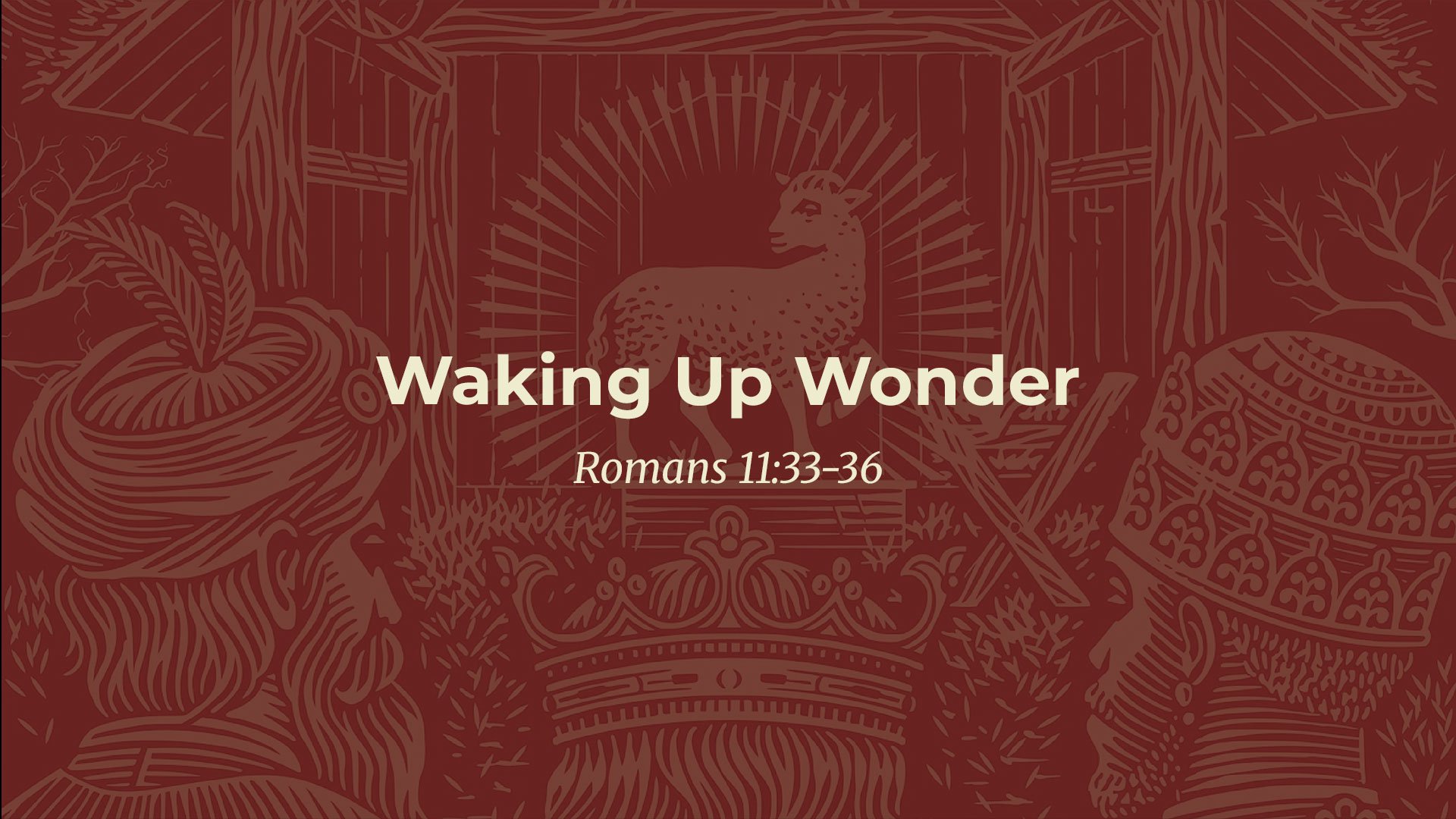 Waking Up Wonder