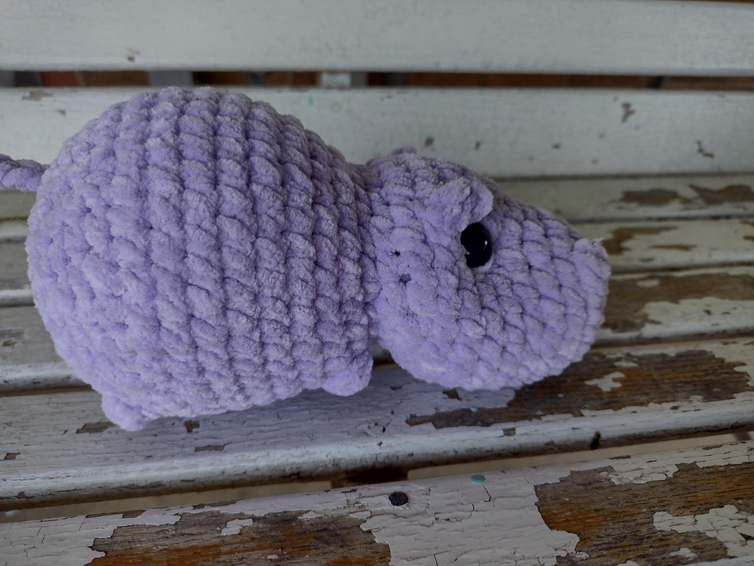 https://i.etsystatic.com/7715905/r/il/763f3e/5892154794/il_fullxfull.5892154794_b3mr.jpg