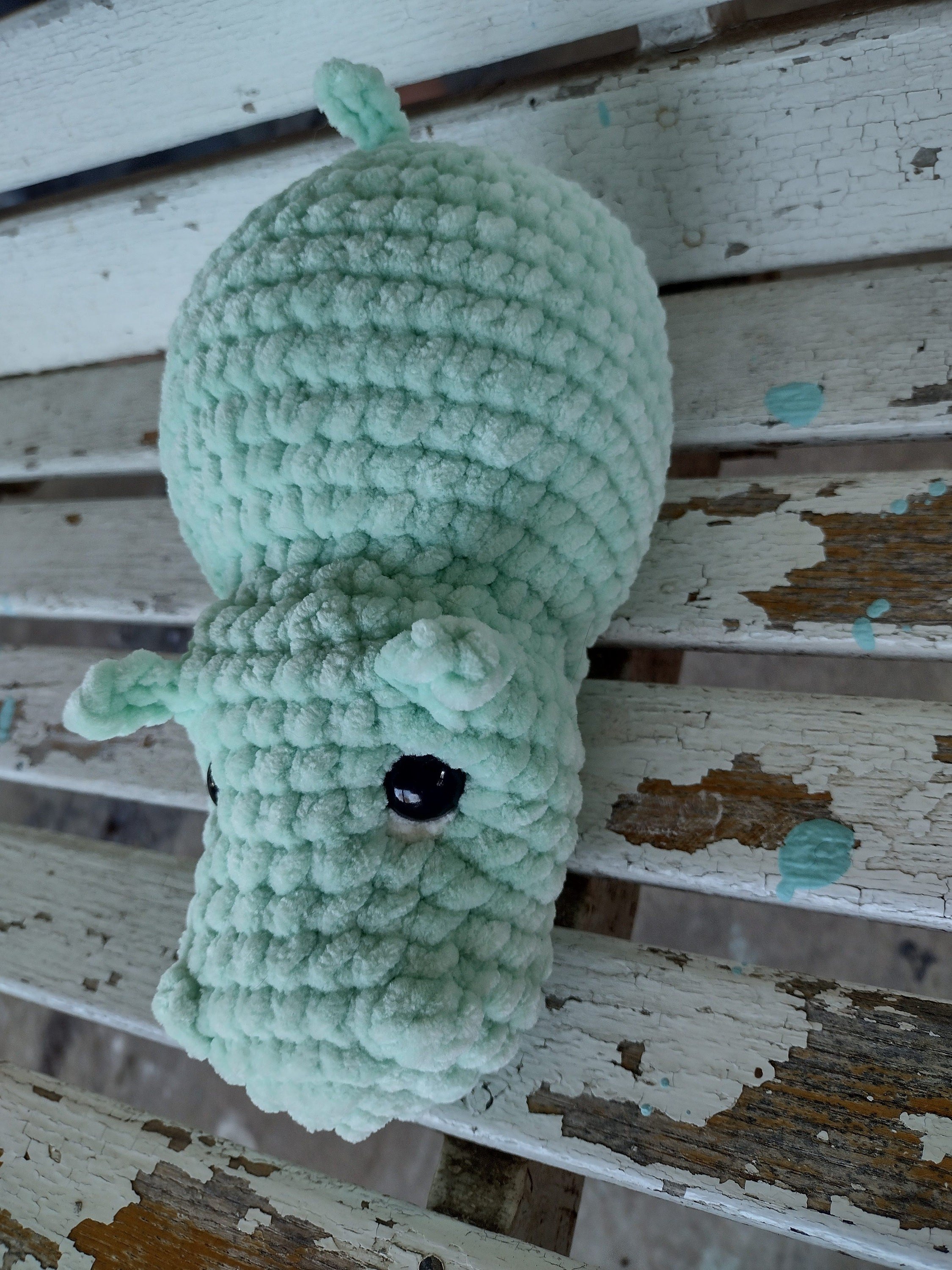https://i.etsystatic.com/7715905/r/il/d7e975/5892190008/il_fullxfull.5892190008_pq6t.jpg