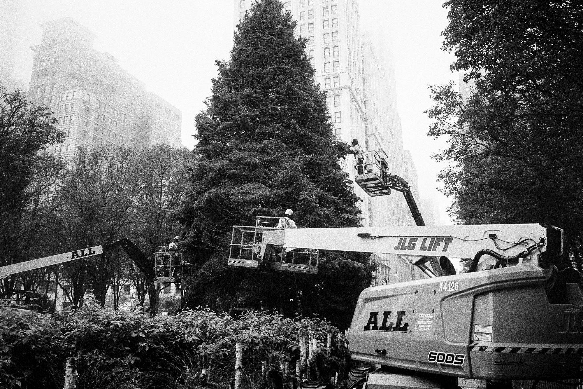 Untitled (6) copy.jpg