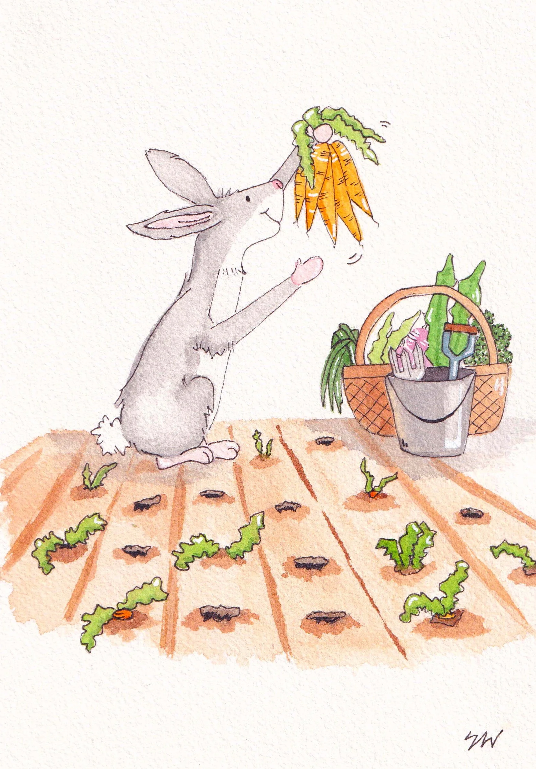 Carrot_Bunny.jpg