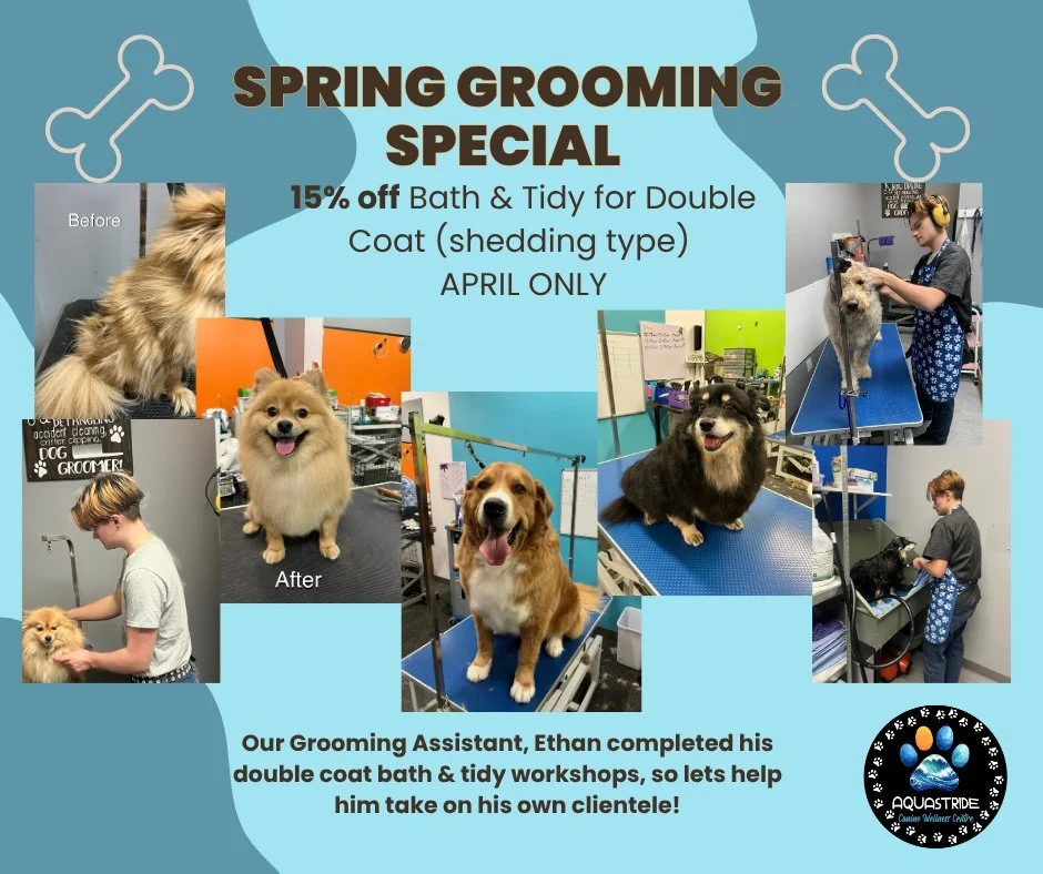 AquaStride Canine Wellness Centre dog grooming listing photo