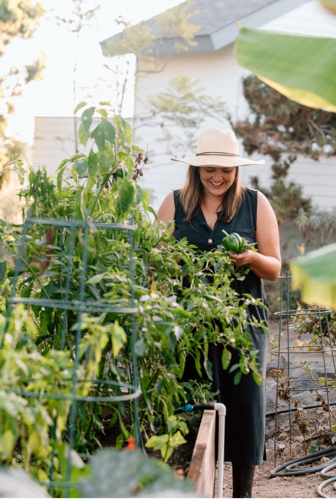 In Person Garden Consult- Initial Visit and Plan