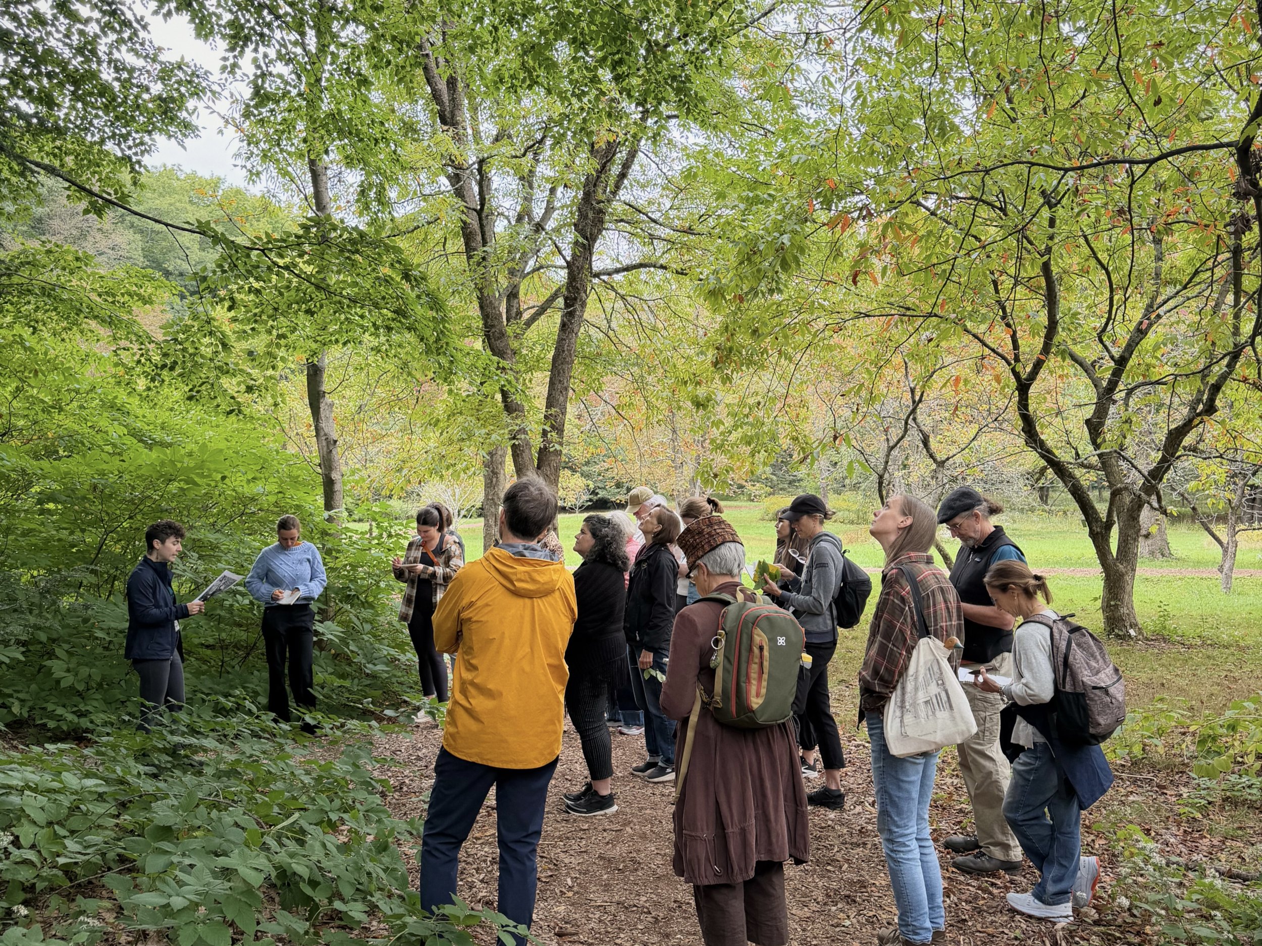 Stories Among the Trees workshop at the Arnold Arboretum, September 2026
