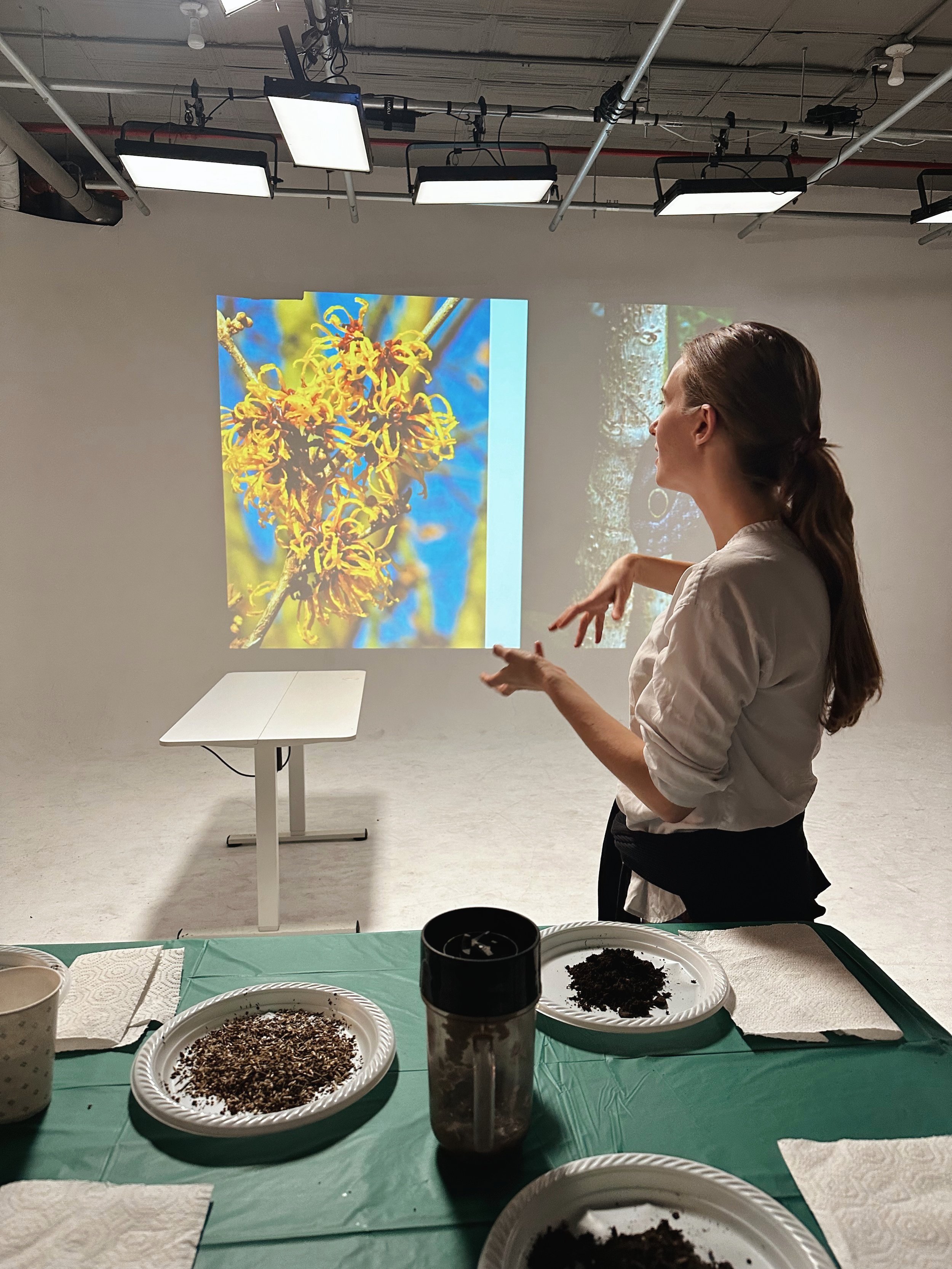A woman in a white shirt giving a presentation in front of a projection of a close-up photo of yellow flowers on a white wall in a room with studio lighting. There are tables with plates of soil, a container, seeds, and napkins in the foreground.