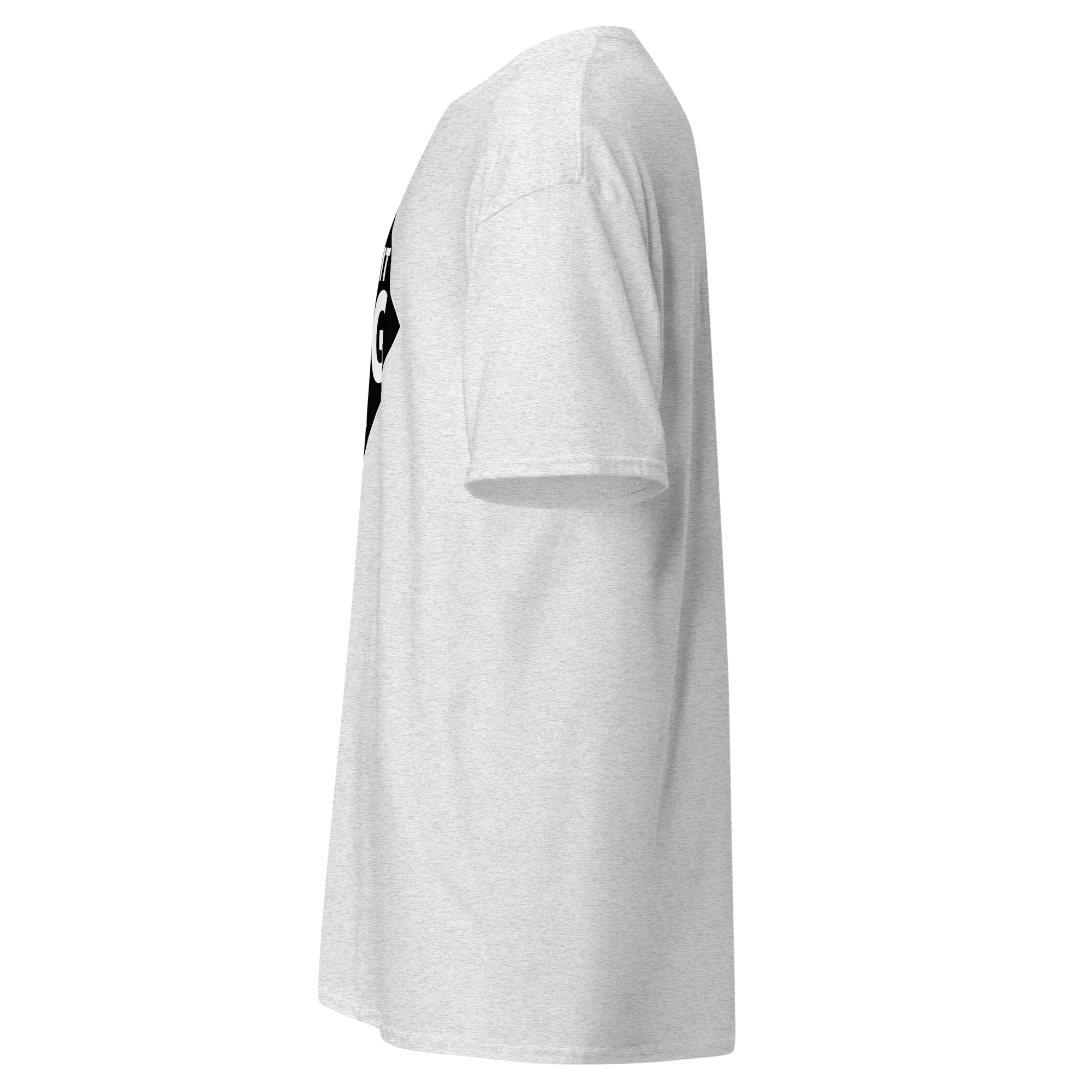 unisex-classic-tee-ash-left-67cdc2631bd16.png