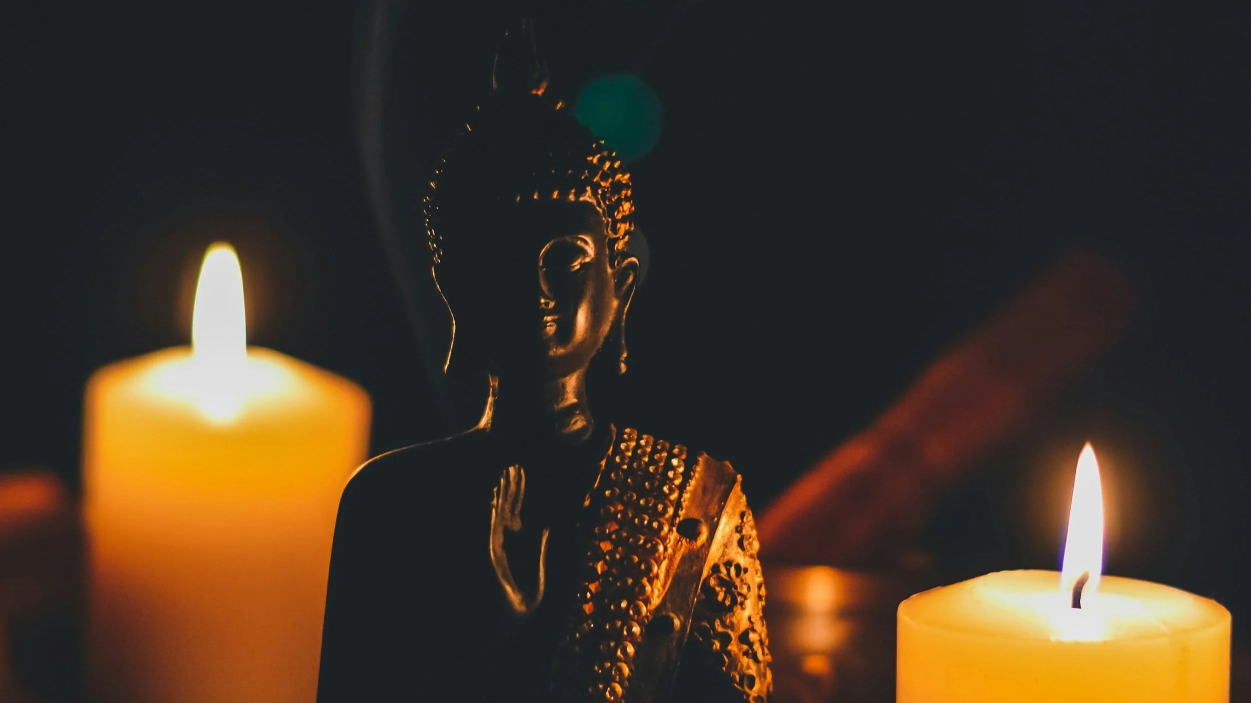 rajat-verma-lYHp4RcJNcY-unsplash (1).jpg