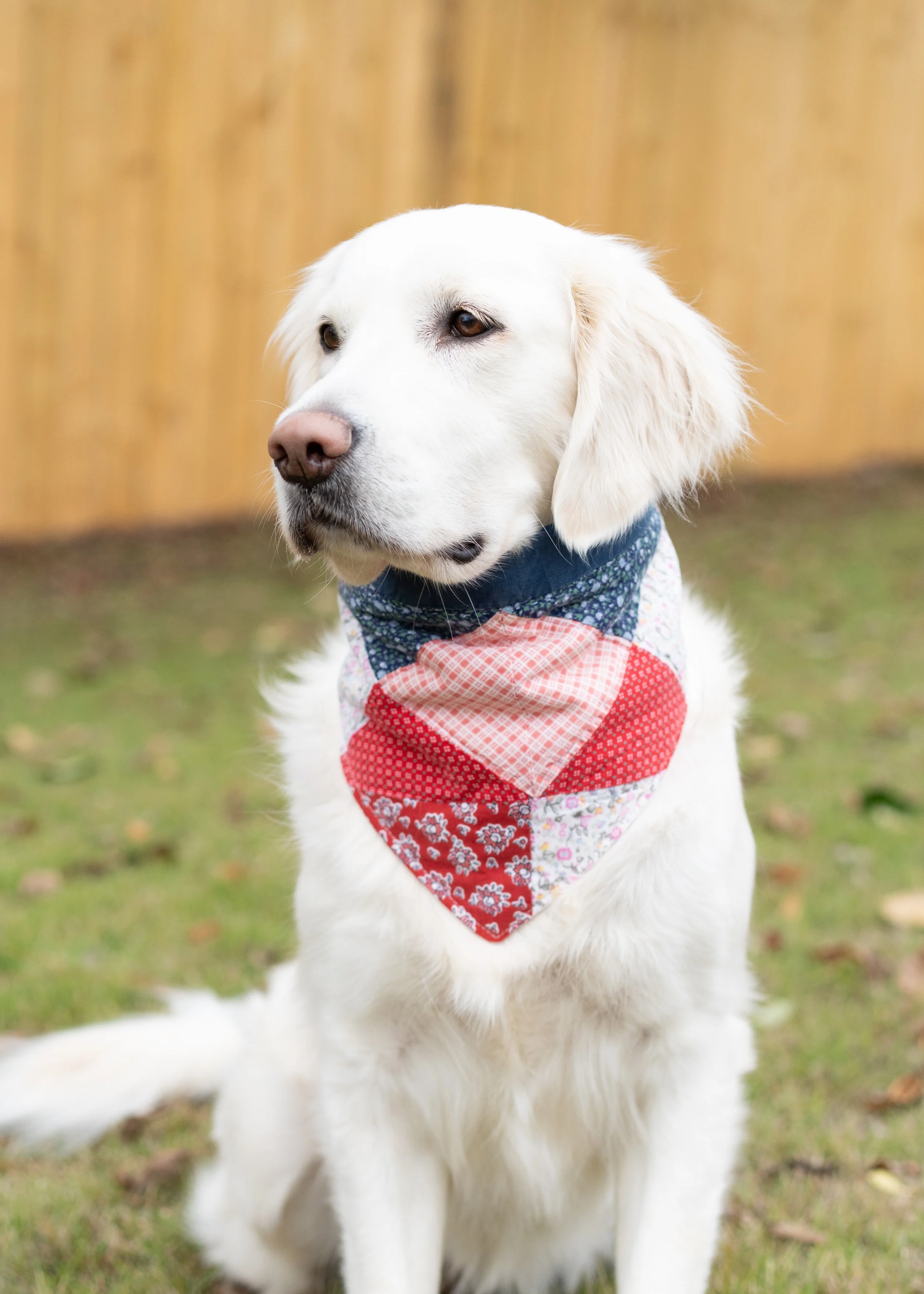 Quilted Dog Bandana