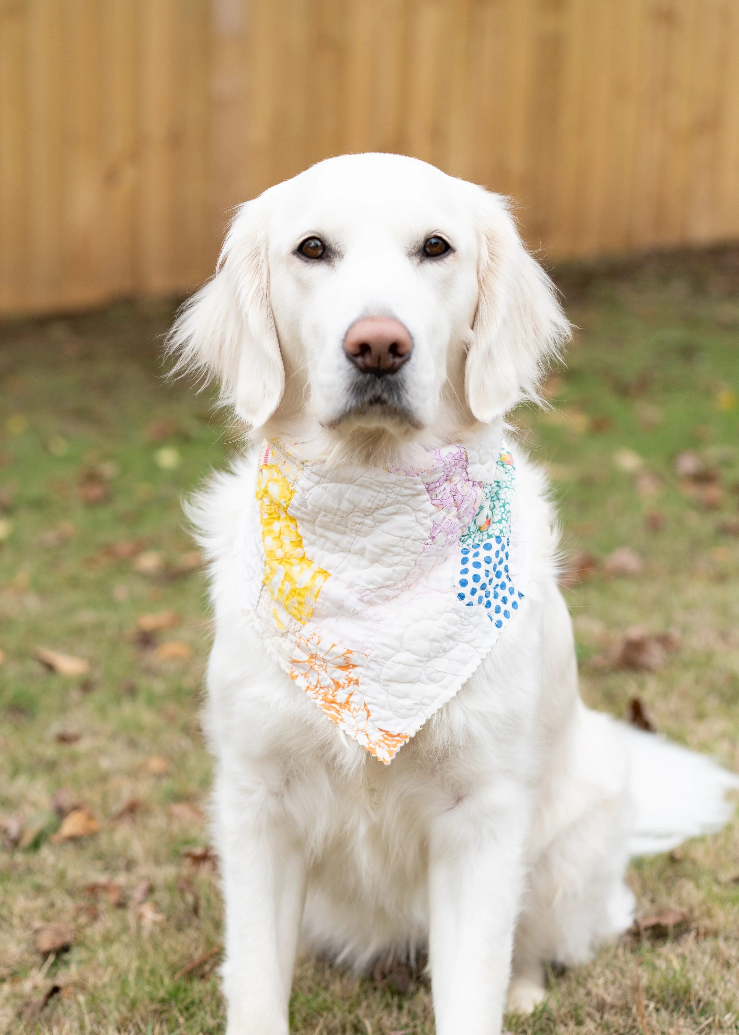 Quilted Dog Bandana