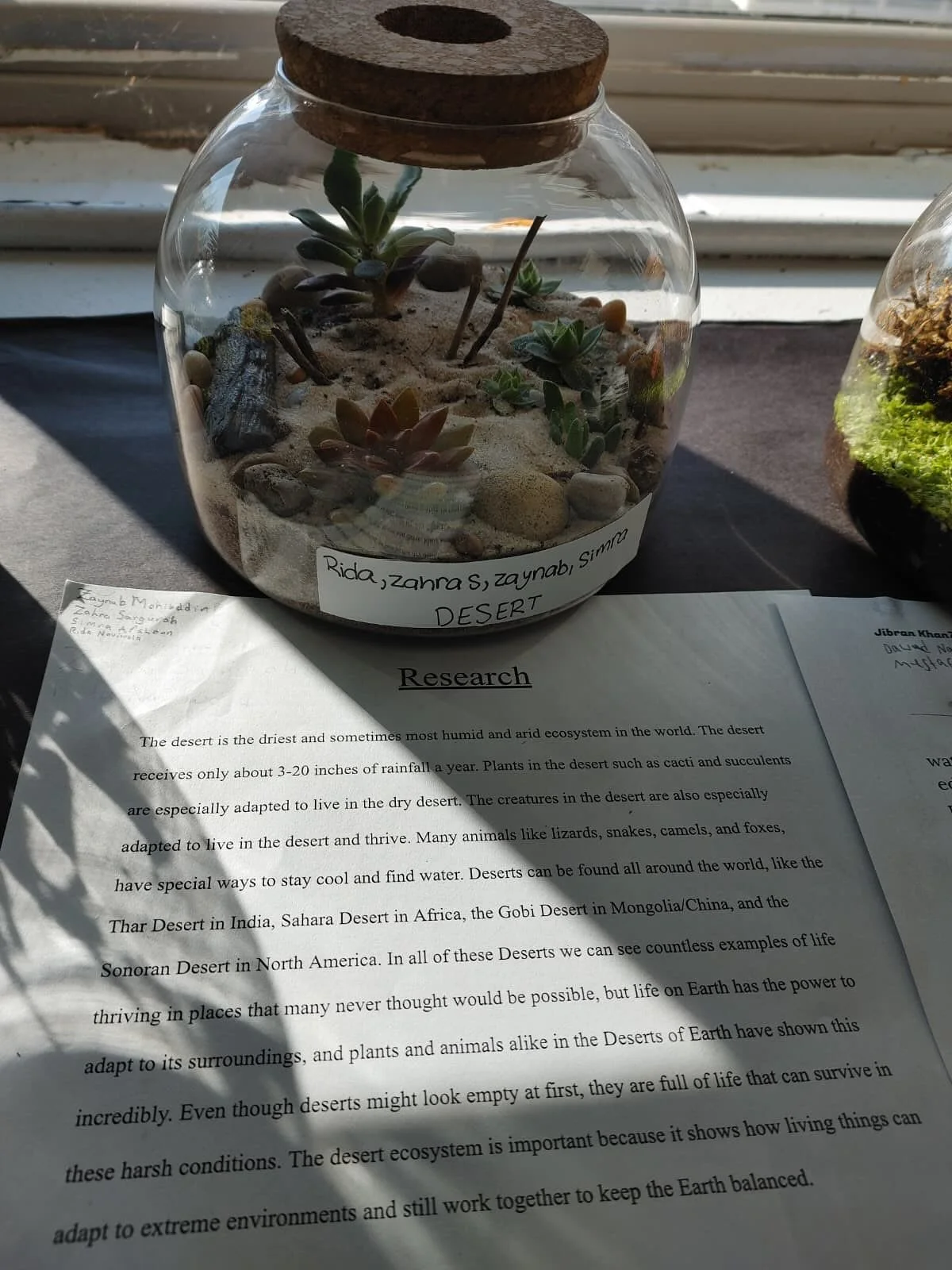 Ms. Sameena's 7th grade class created their own live ecosystems in science class! Swipe to see the different ecosystems 🌱