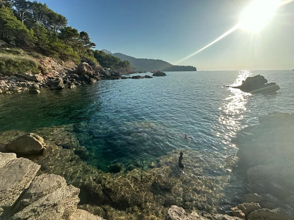 3 day half day.  Summer workshop.   Roz Wallis  26 - 28 August.