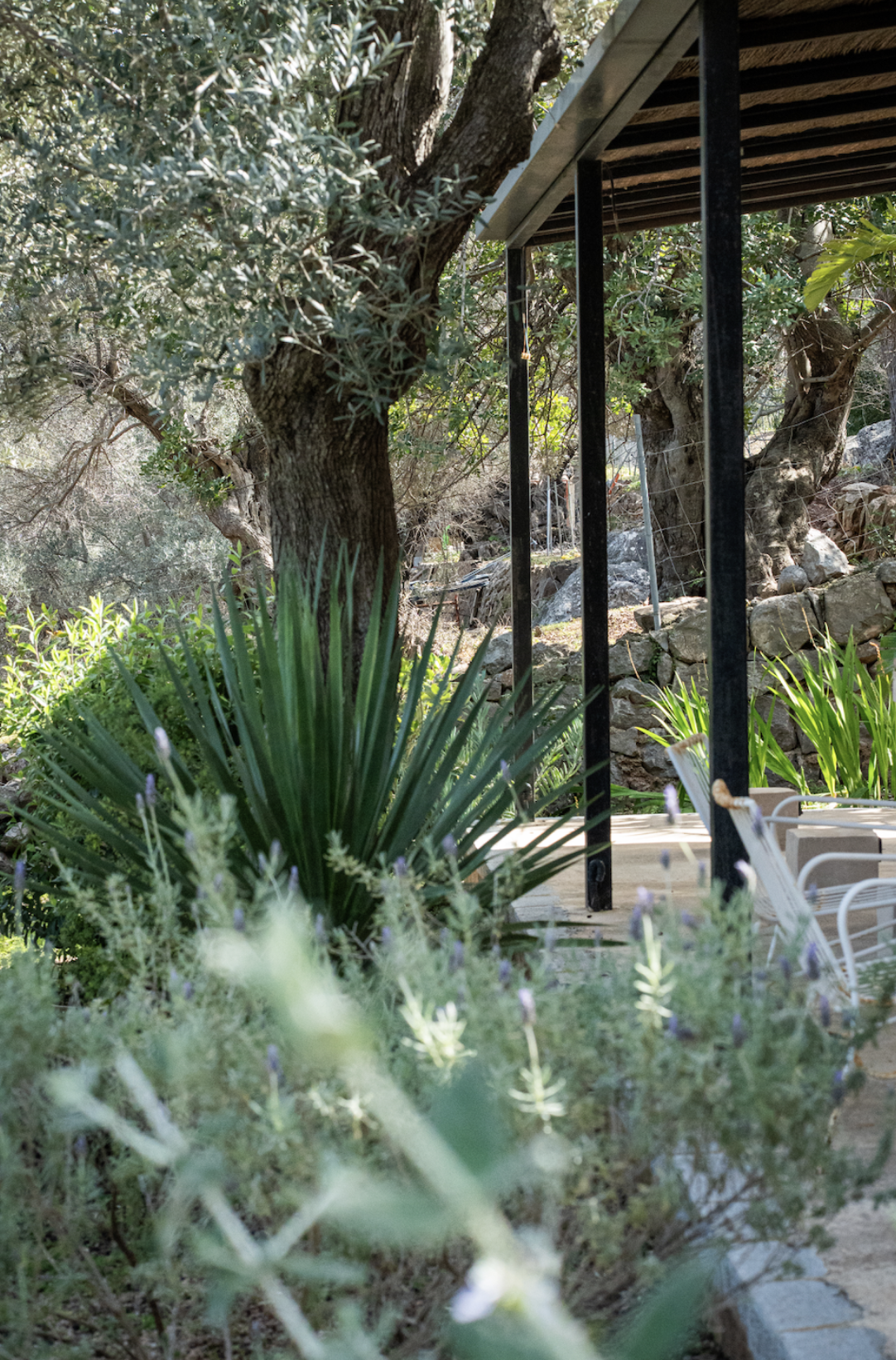 Screenshot 2026-03-30 at 10.57.30.PNG