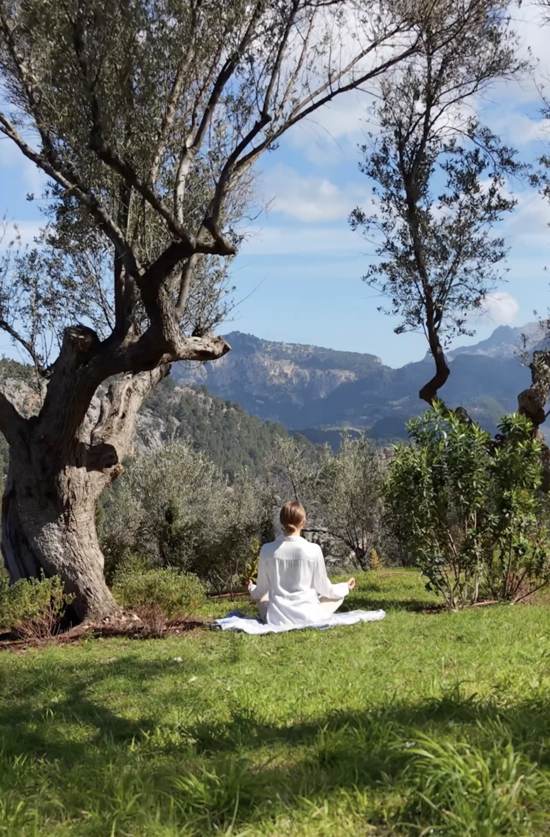 Screenshot 2026-03-30 at 10.57.22.PNG