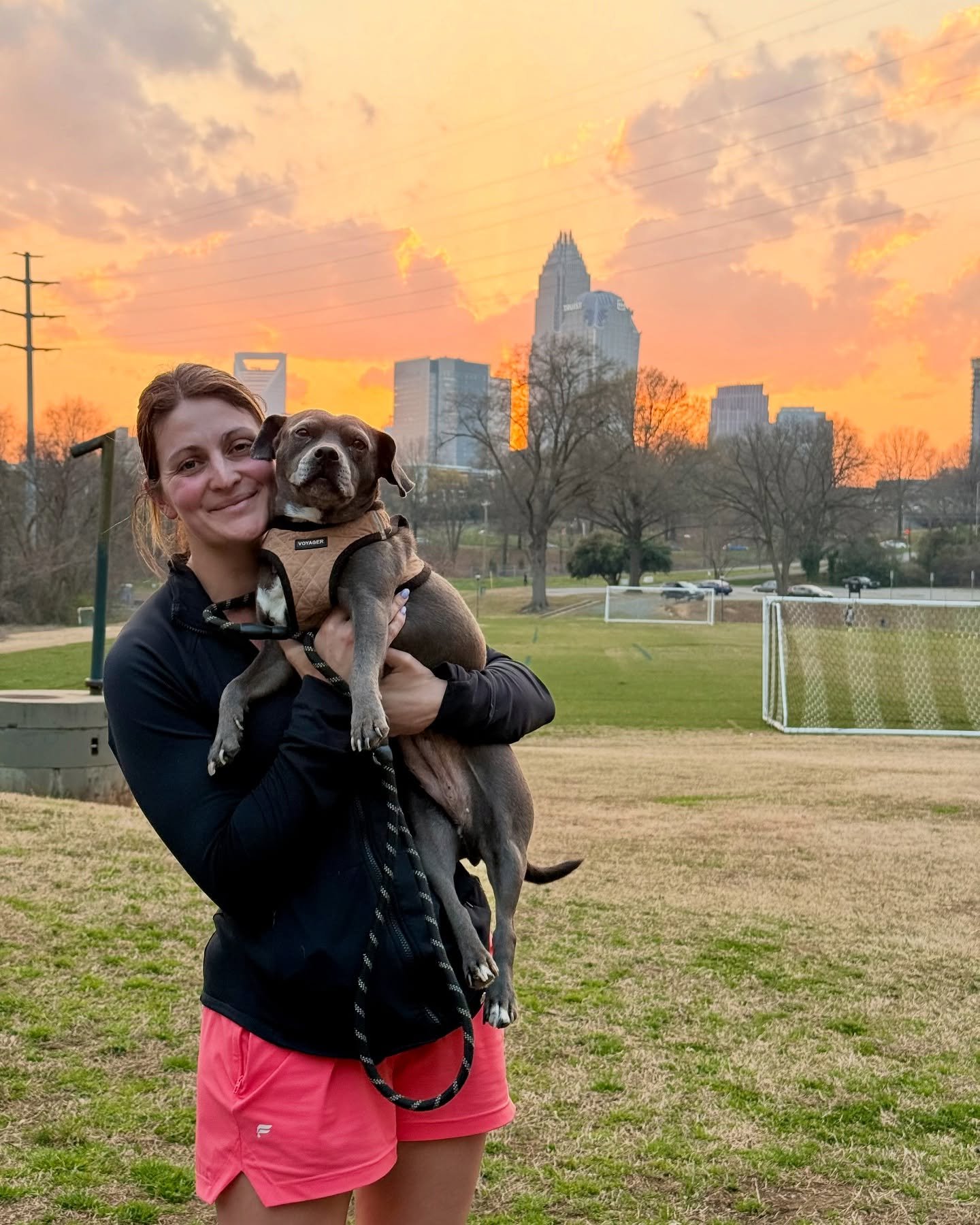 golden hour walks with our sweet little lady, Willow. We may not move very fast (iykyk) but that just gives us more time to enjoy the beautiful sunsets together 🥰🌇 

(also please sponsor me @fabletics it&rsquo;s all I wear)
.
.
.
.
#dogsitter #dog 