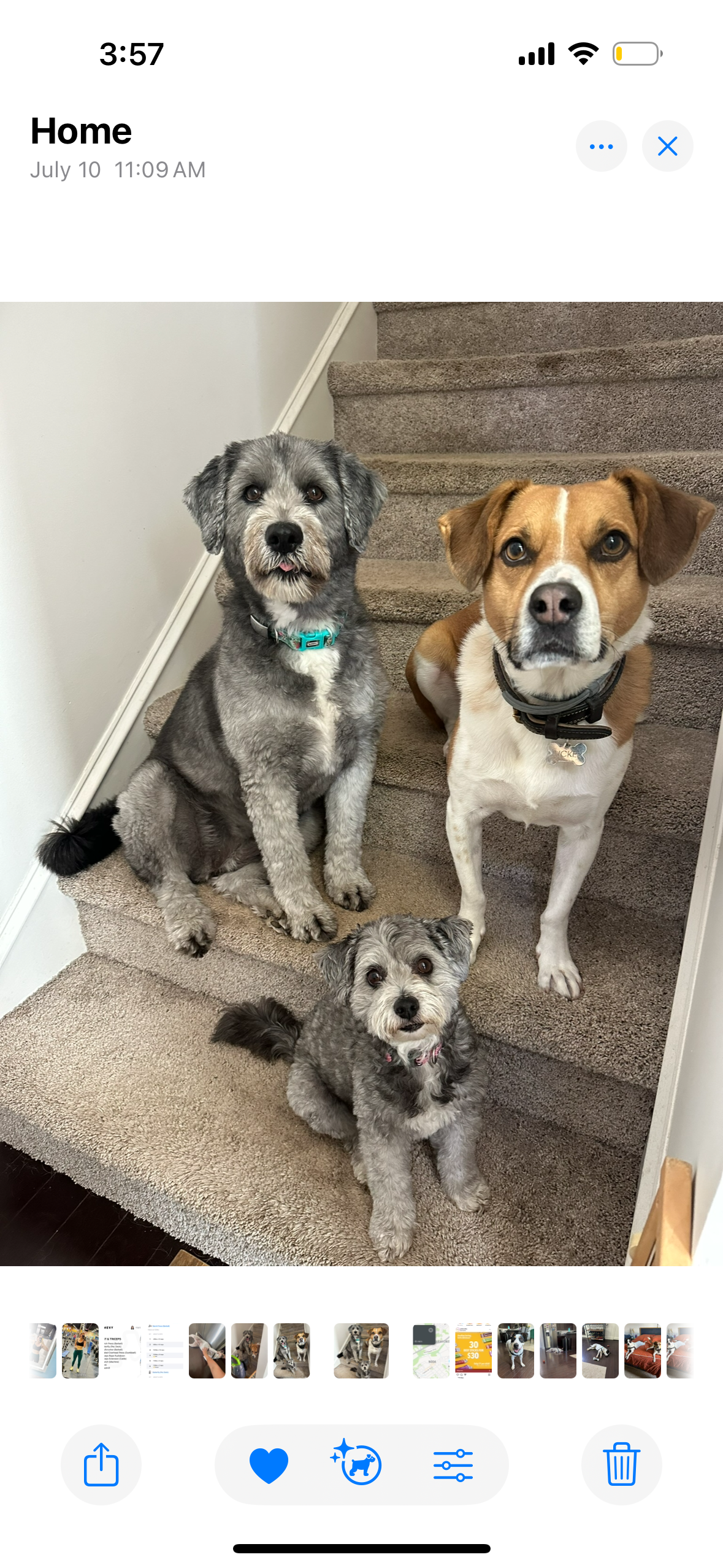 charli and lana trio.PNG