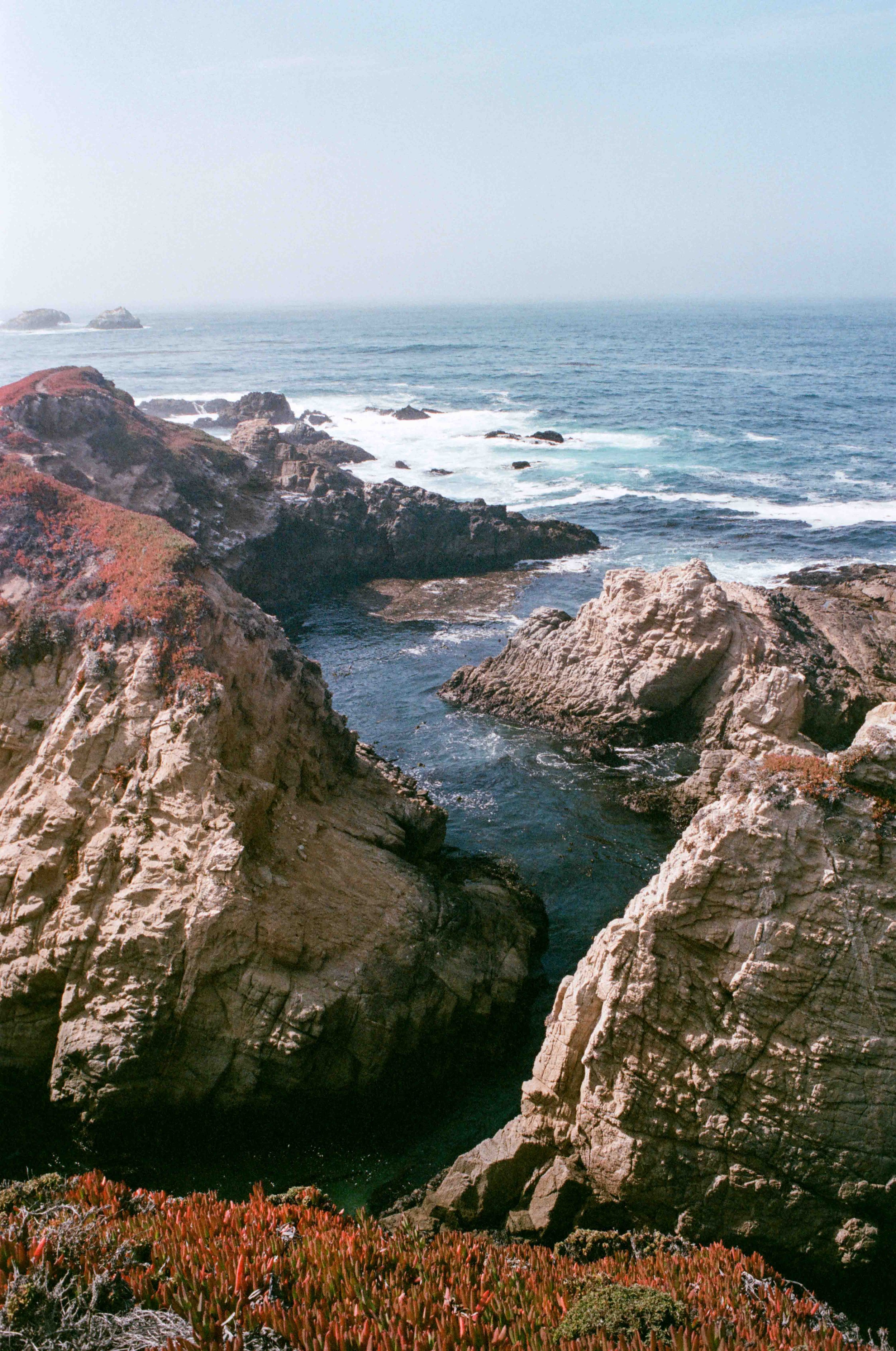 eve bigsur2-7.jpg