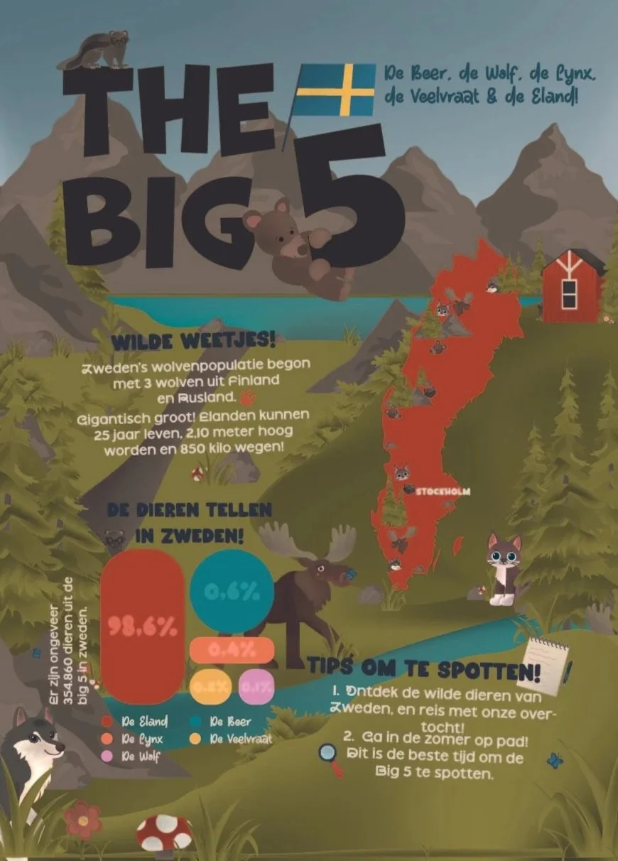 InfographicZKBig5Sweden.jpg