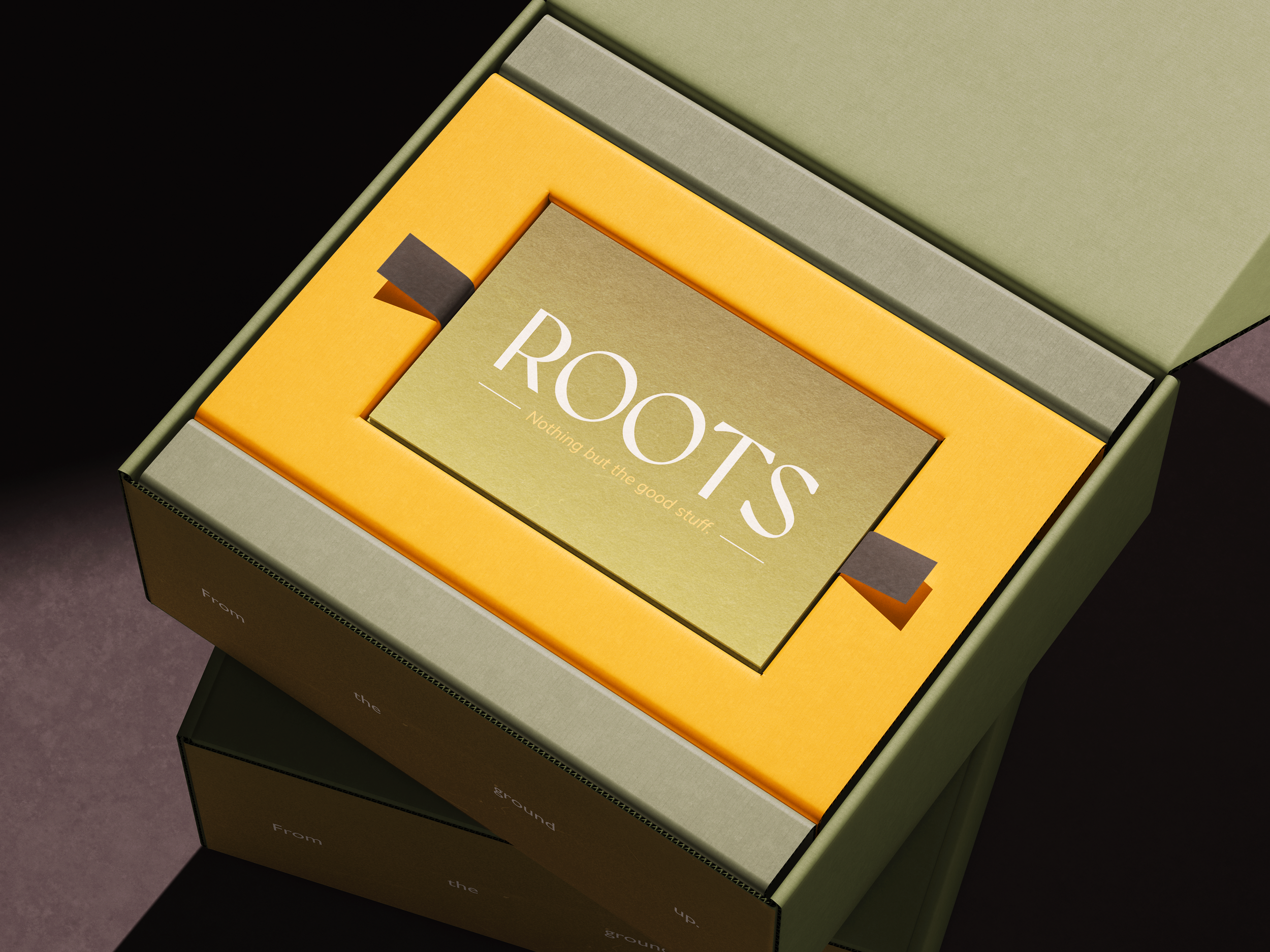Roots.png