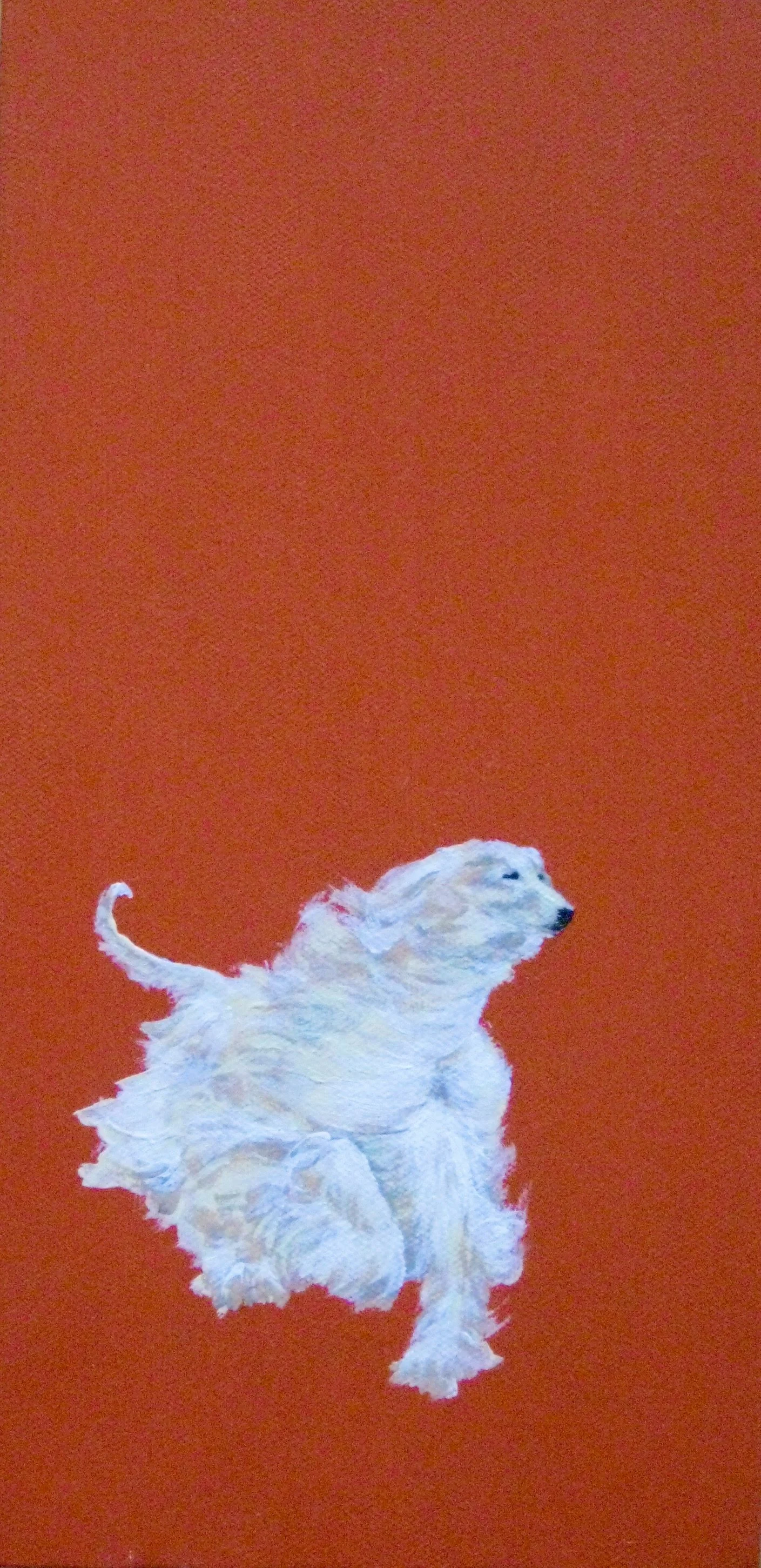 Afghan Hound, Acrylic on canvas