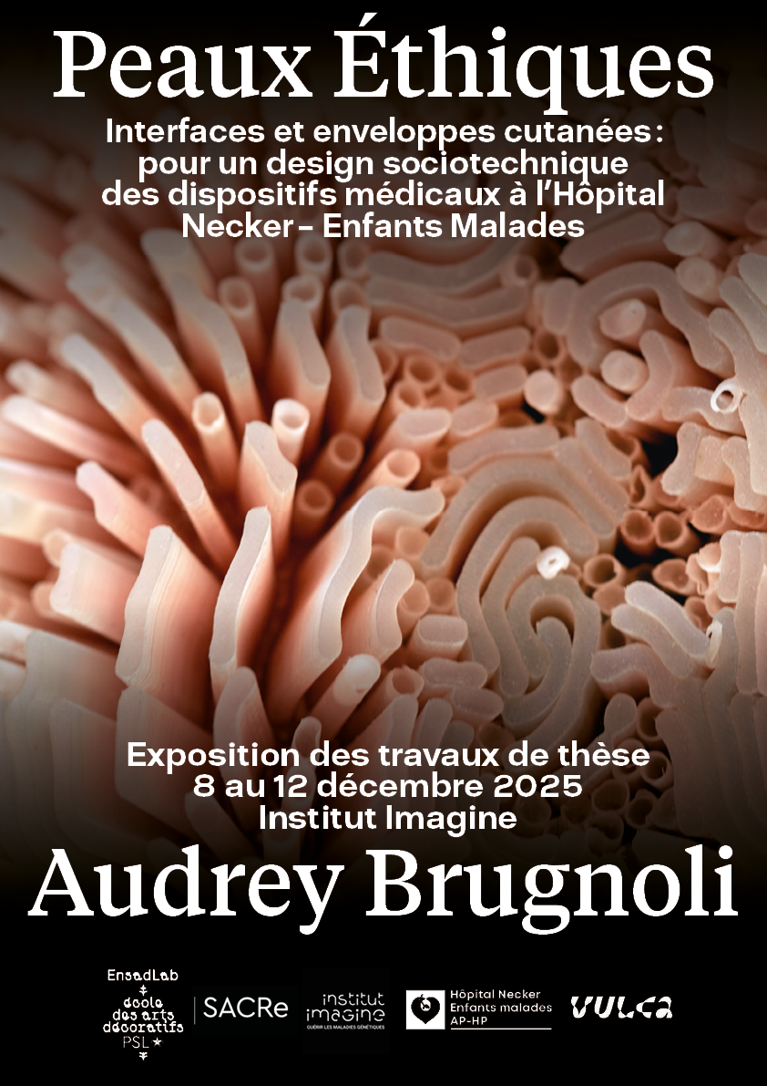 Exposition des travaux de thèse d’Audrey Brugnoli