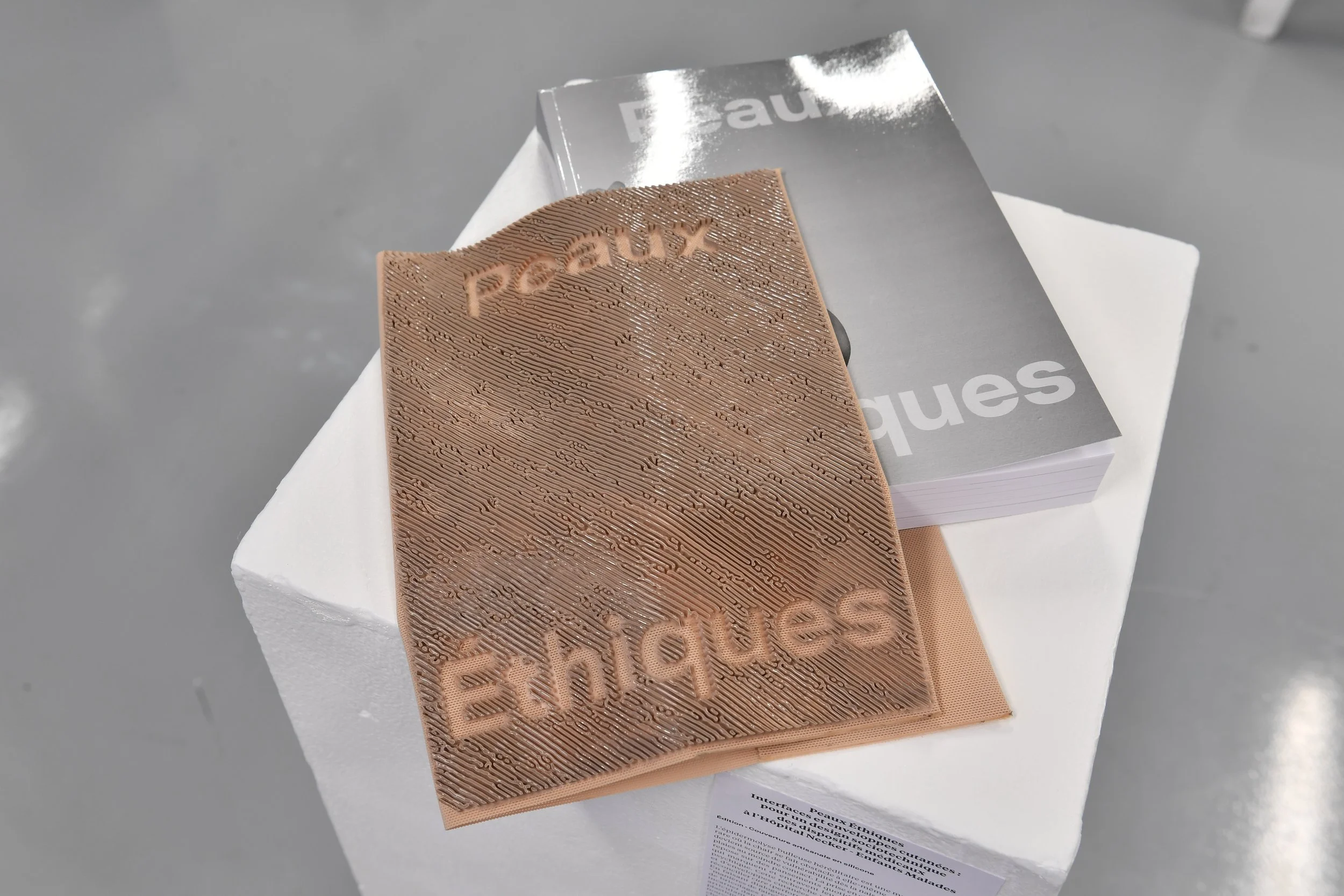 manuscrit DSC_6821.JPG