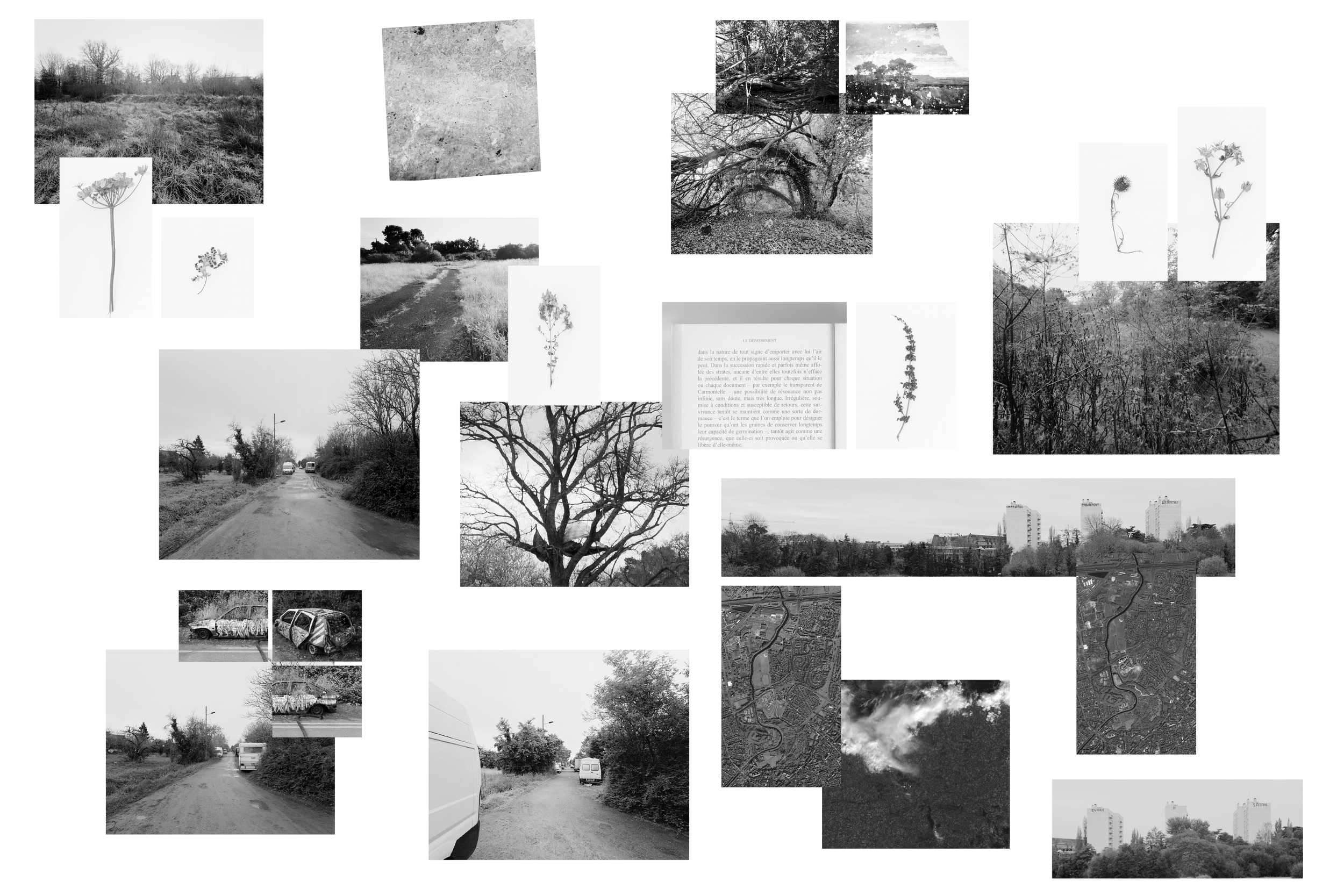 Le groupe de recherche Territoires participera au 10e atelier Inter-friches