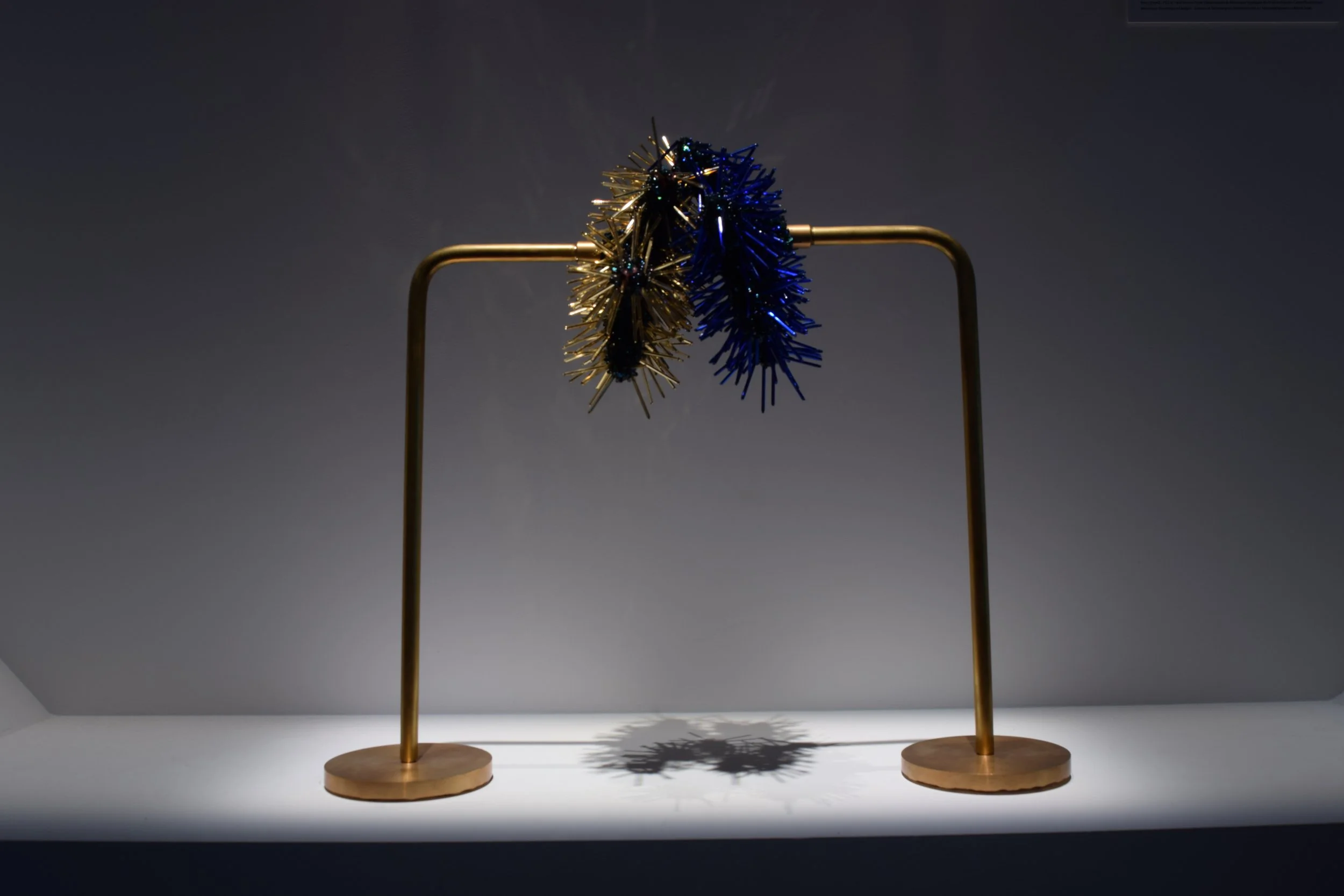 Présentation des recherches de Maude Guiraul dans la Serre et à la Fabrika du BIOME