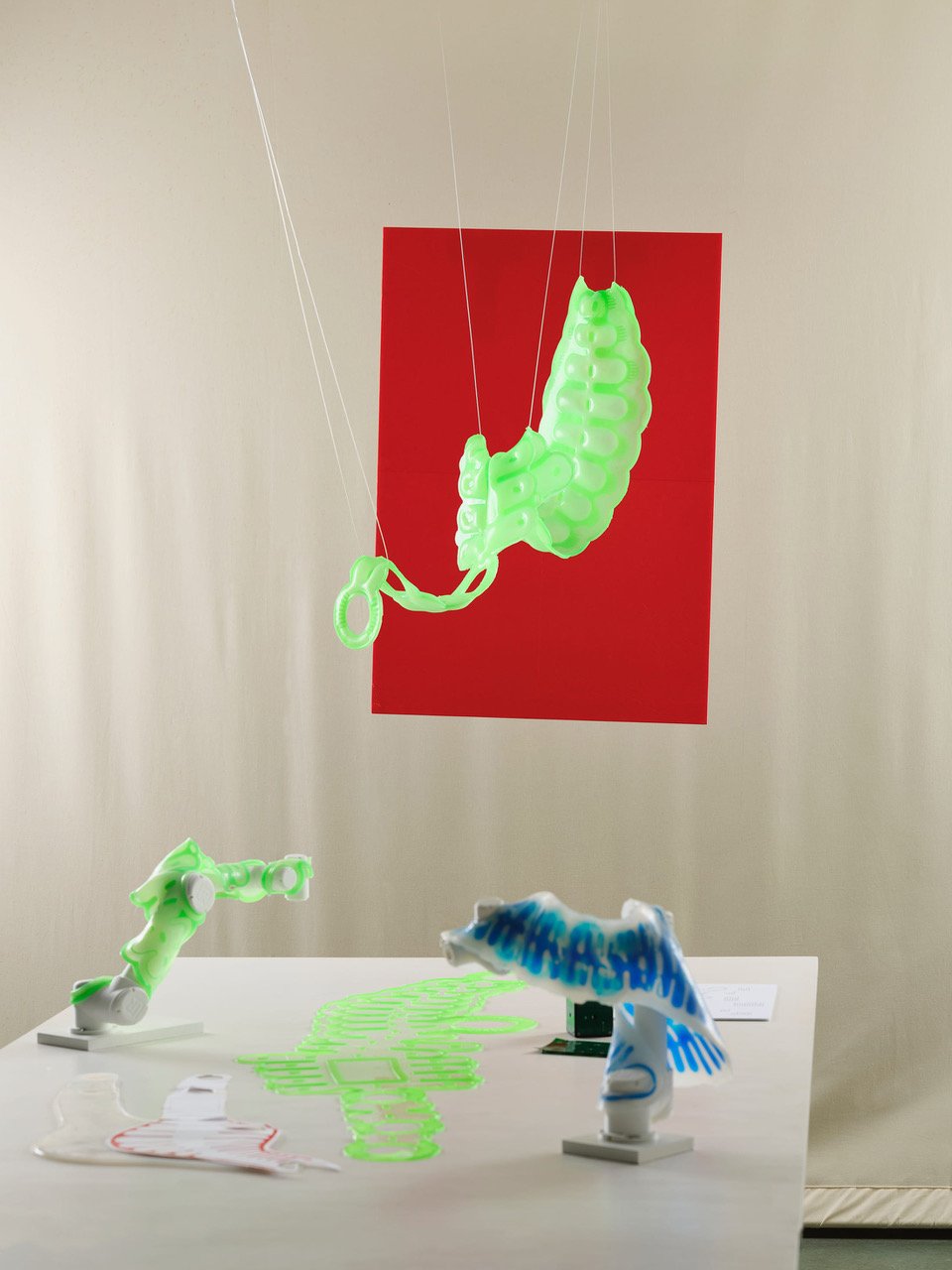 AnnaSchaeffner_Websized_095.jpeg