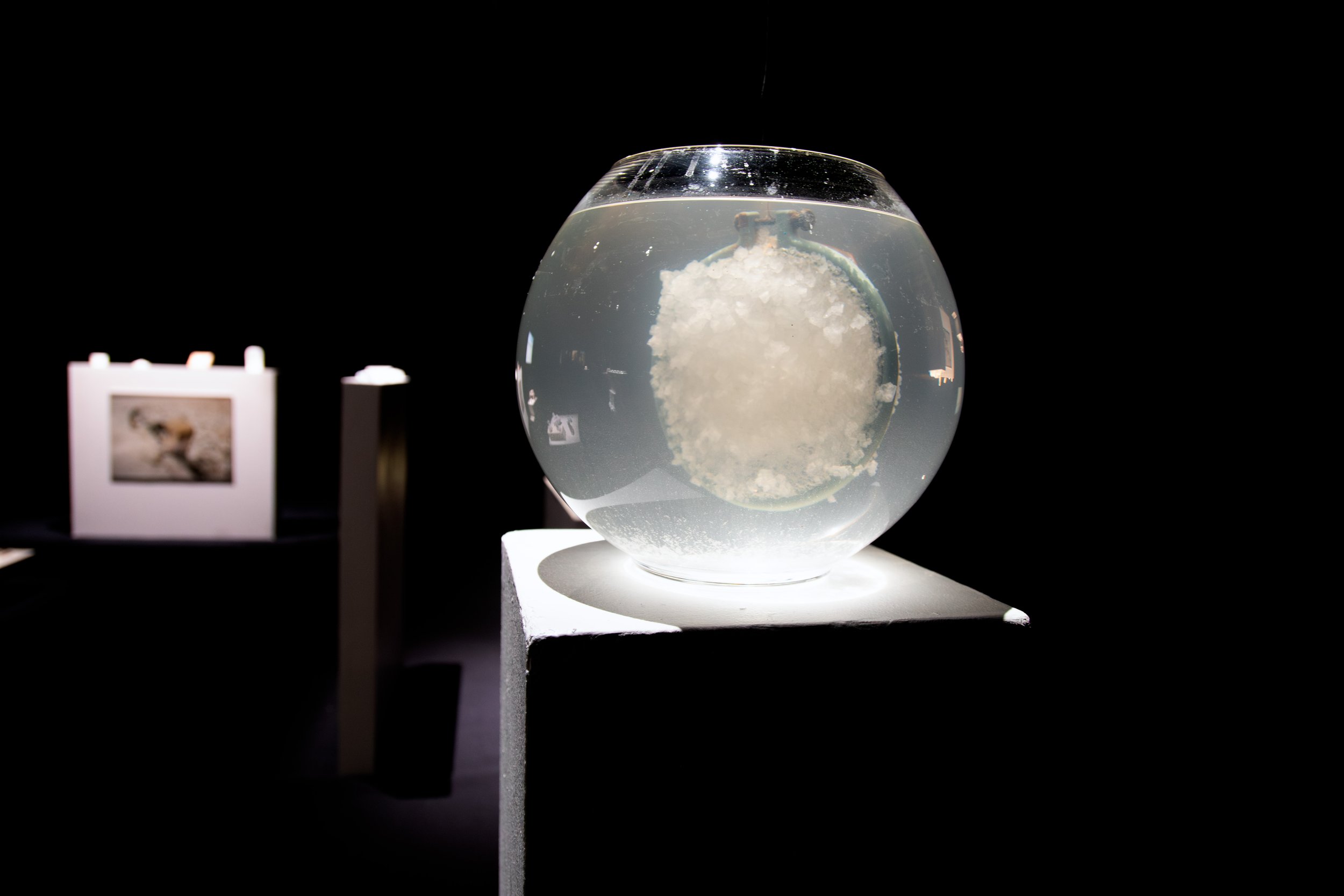 expo 9J1A4379 © Audrey Brugnoli.jpg