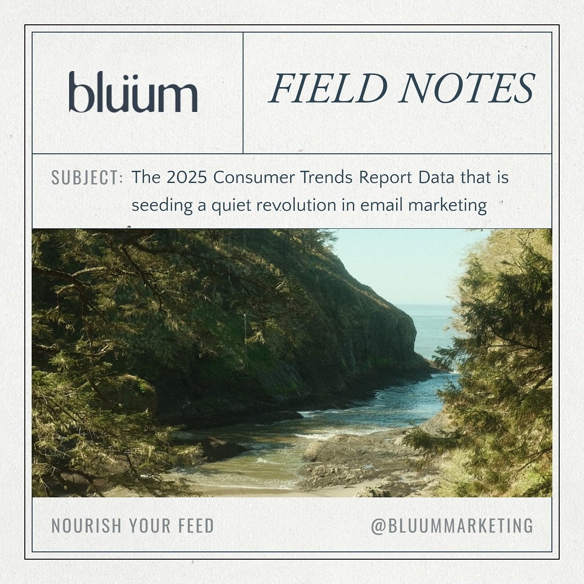 Here&rsquo;s what the research won&rsquo;t tell you but your heart already knows: your automated email flows are never truly &ldquo;complete.&rdquo; And that&rsquo;s the most beautiful part!

Because it means every iteration is a chance to nurture de