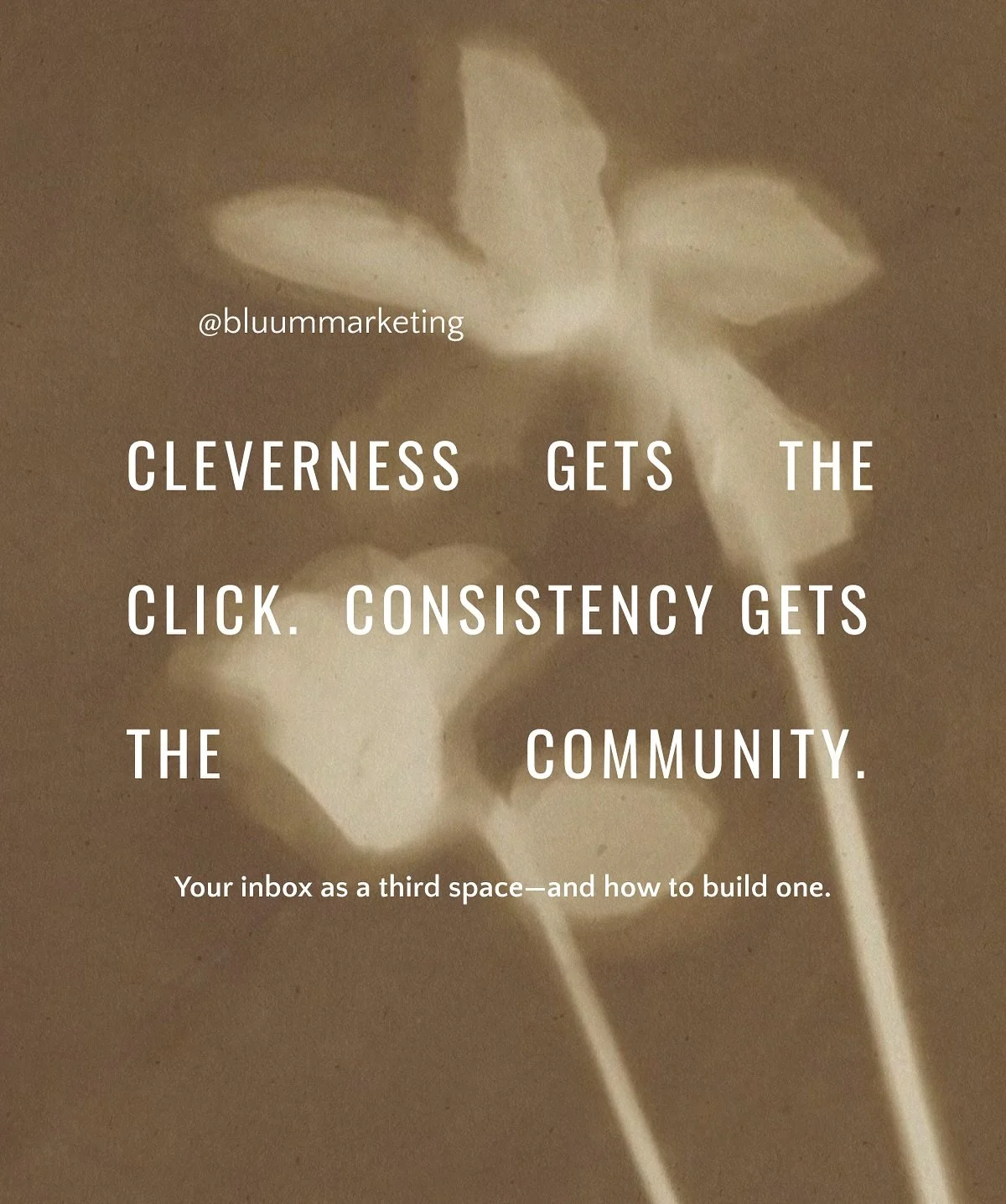 Last October, I showed up for my own inbox with the same care I give every client&mdash;consistent, thoughtful, weekly. Three of my most aligned clients joined me. And then, without the roots to sustain it, I burned out.

The next four months were si