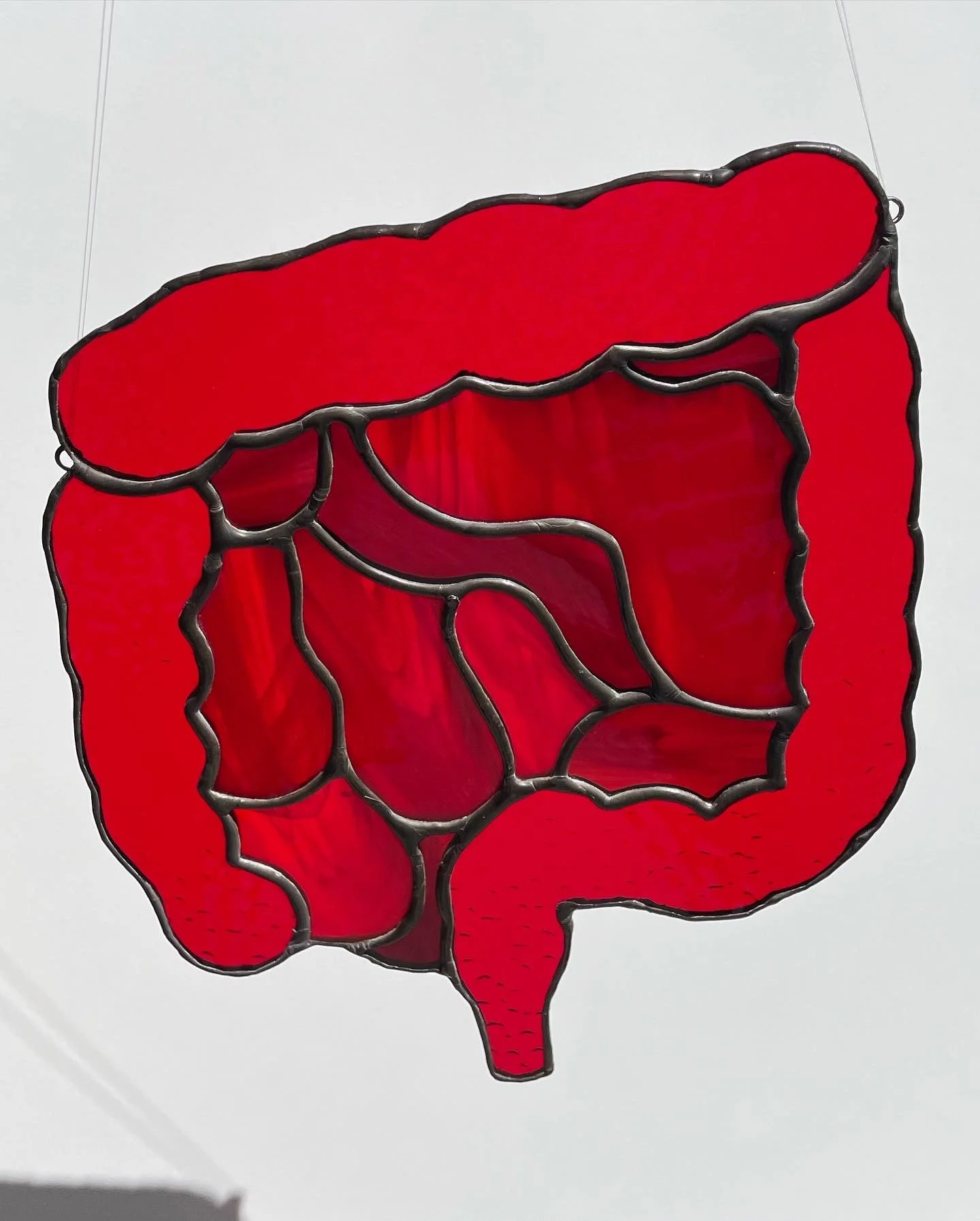 SecretGlassAgency-guts.JPG