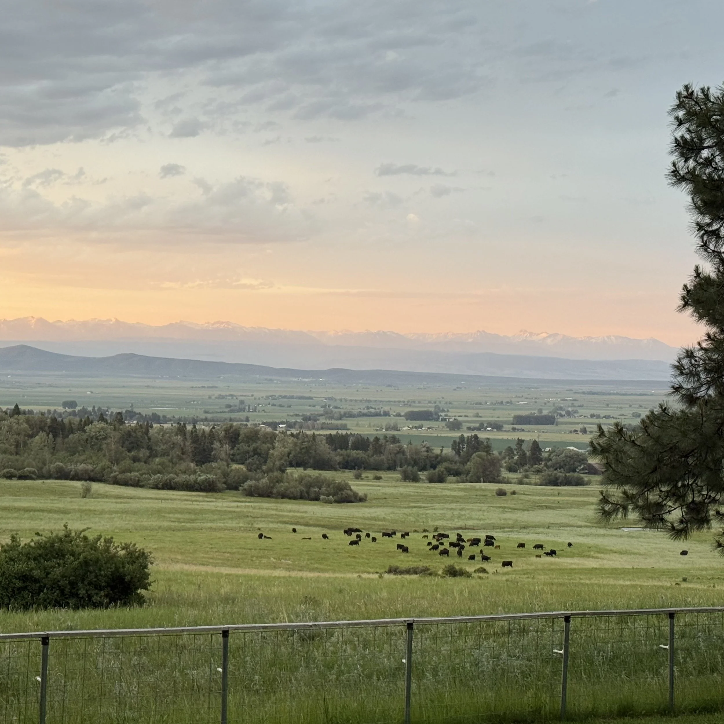 Good Bear Ranch: The Perfect Setting for Your Next Retreat or Workshop ...