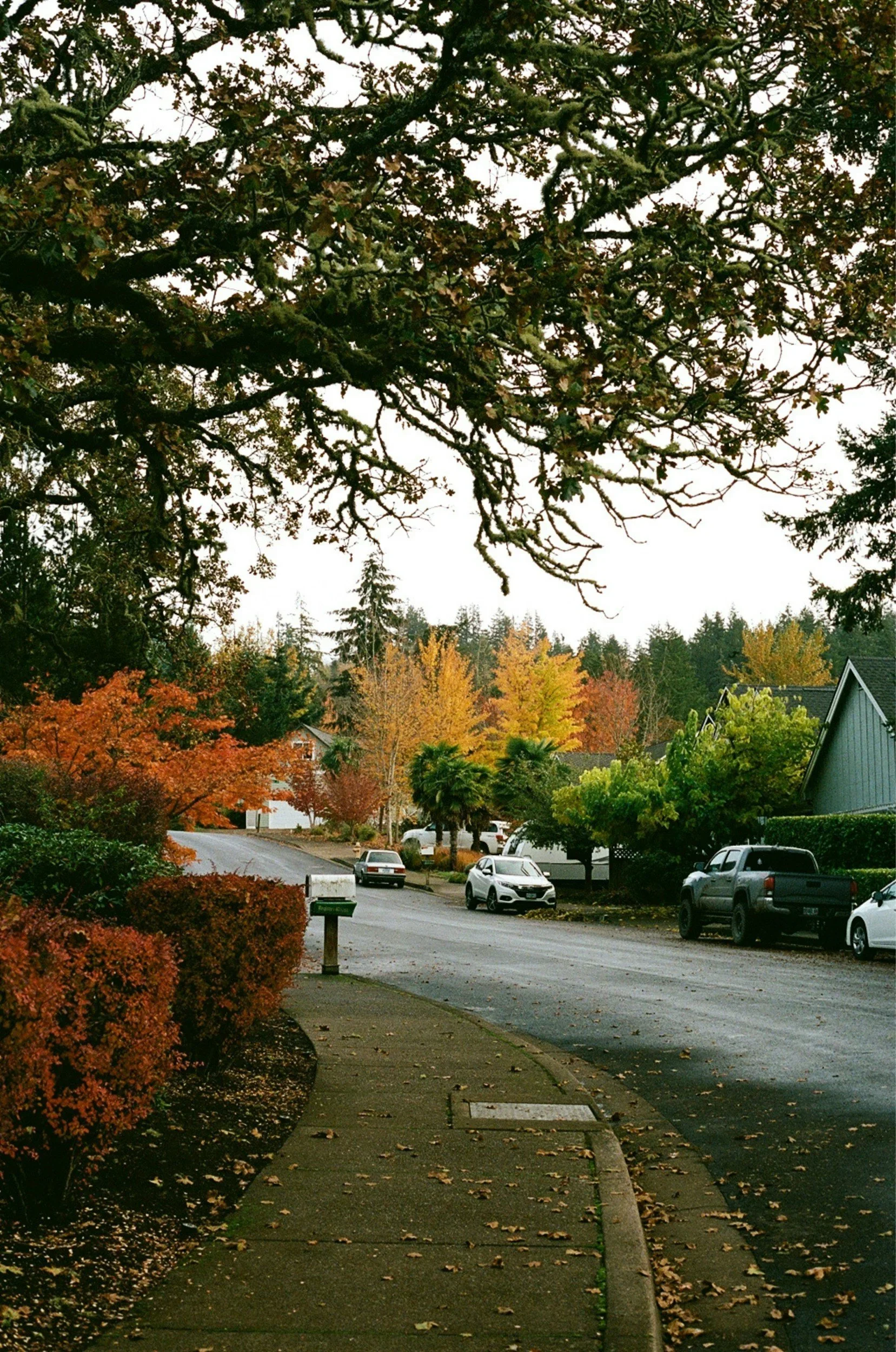 Understanding Radon: What It Is and Why It Matters for Your Health in Oregon and Washington