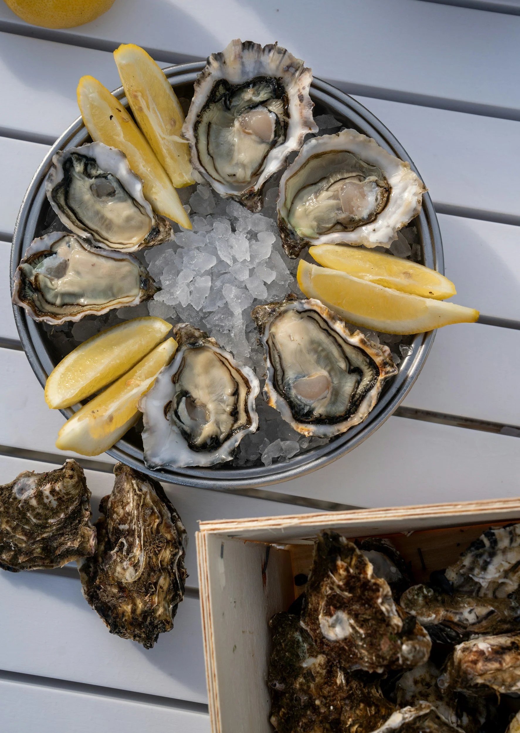 A round metal tray filled with crushed ice, topped with open oysters and lemon wedges, on a white wooden surface.