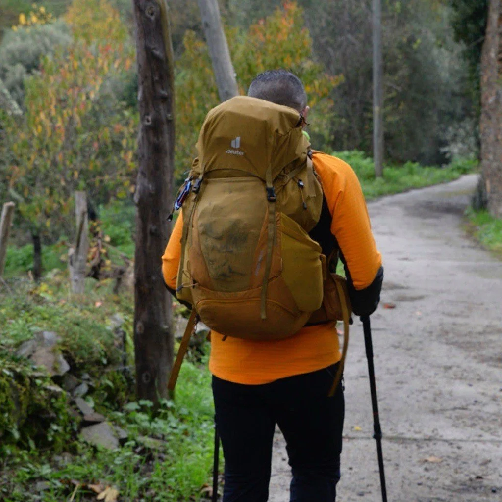 Our tiny hamlet town of Alvaredos sits along the winter route of the famed Camino de Santiago, which winds through Ribeira Sacra and ends at Santiago de Compostela. The Camino passes directly in front of the cellar doors of Alvaredos-Hobbs, and we ar