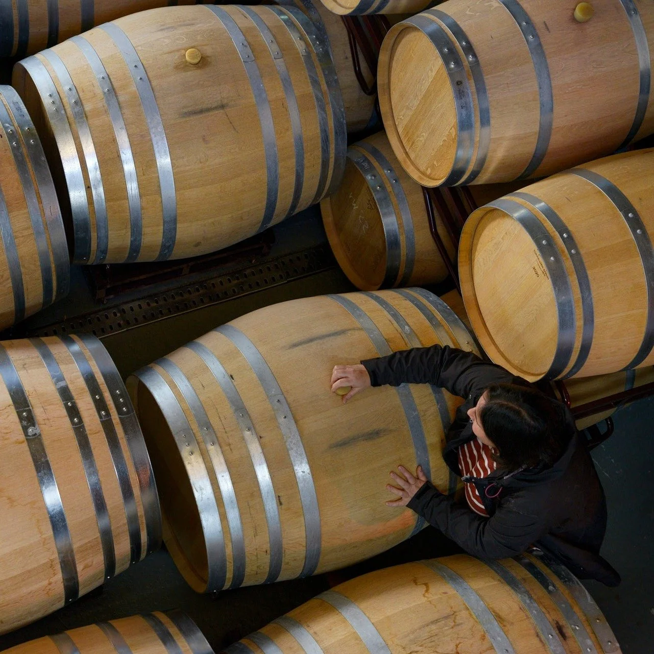 As the vineyards begin to spring to life, our team continues their work in the cellar, keeping a careful eye on the newest vintages of Alvaredos-Hobbs as they evolve gracefully in barrel.

En esta &eacute;poca del a&ntilde;o, los vi&ntilde;edos despi