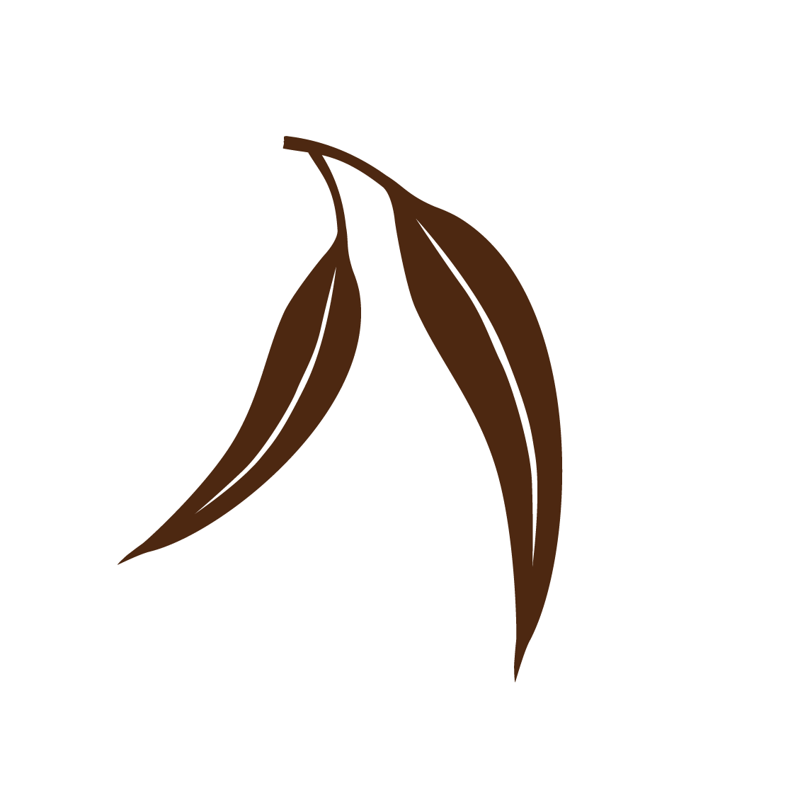 Illustration of two brown leaves on a black background.